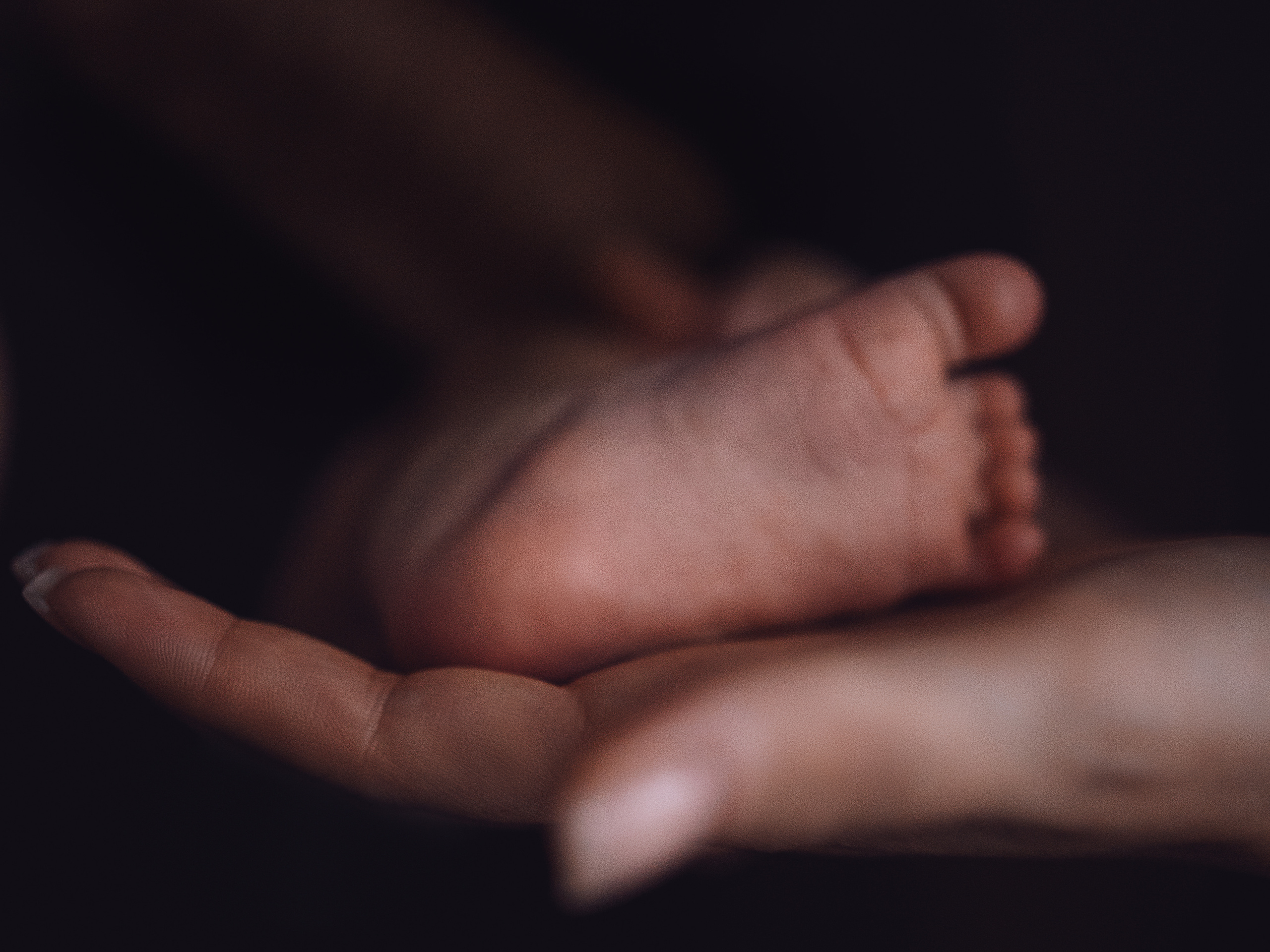 Катя+Игорь=Артур. Фотограф Горбенко Анна