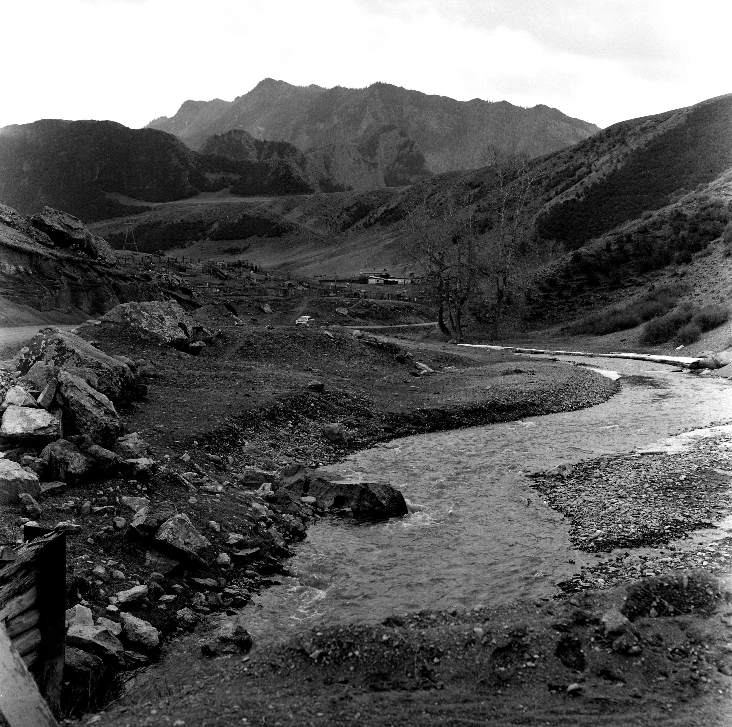 Алтай, Россия. Elena Nikitina. Photo Artist. Film photography. Prints