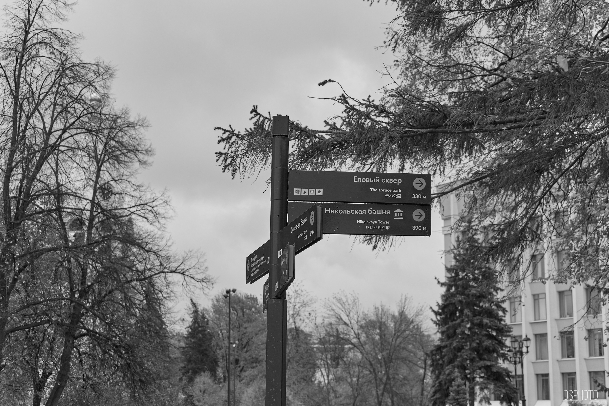 Нижний Новгород. Фотографъ Сергѣевъ. Поймать мгновеніе