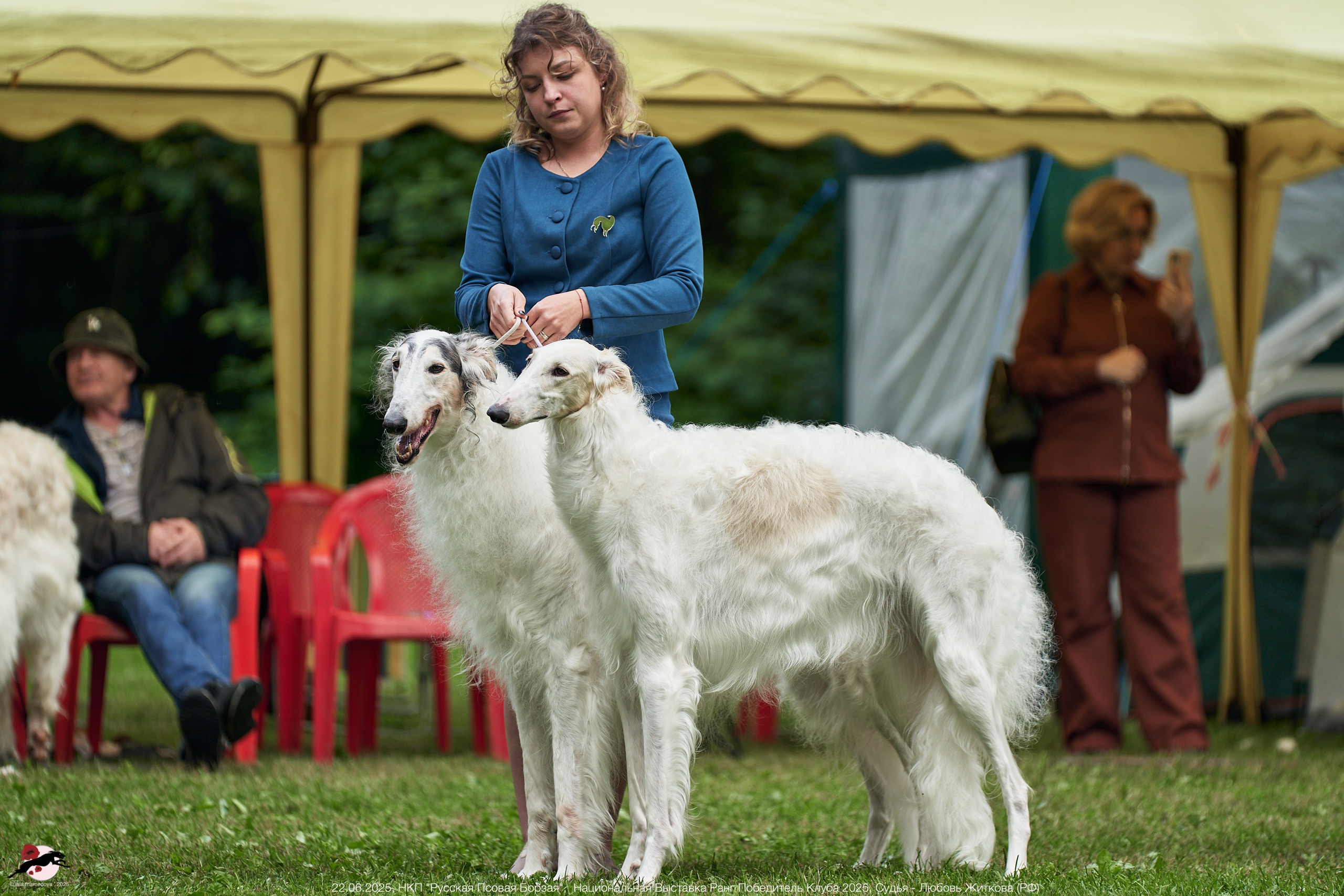 22.06.2025 | Национальная Выставка НКП "Русская Псовая Борзая"