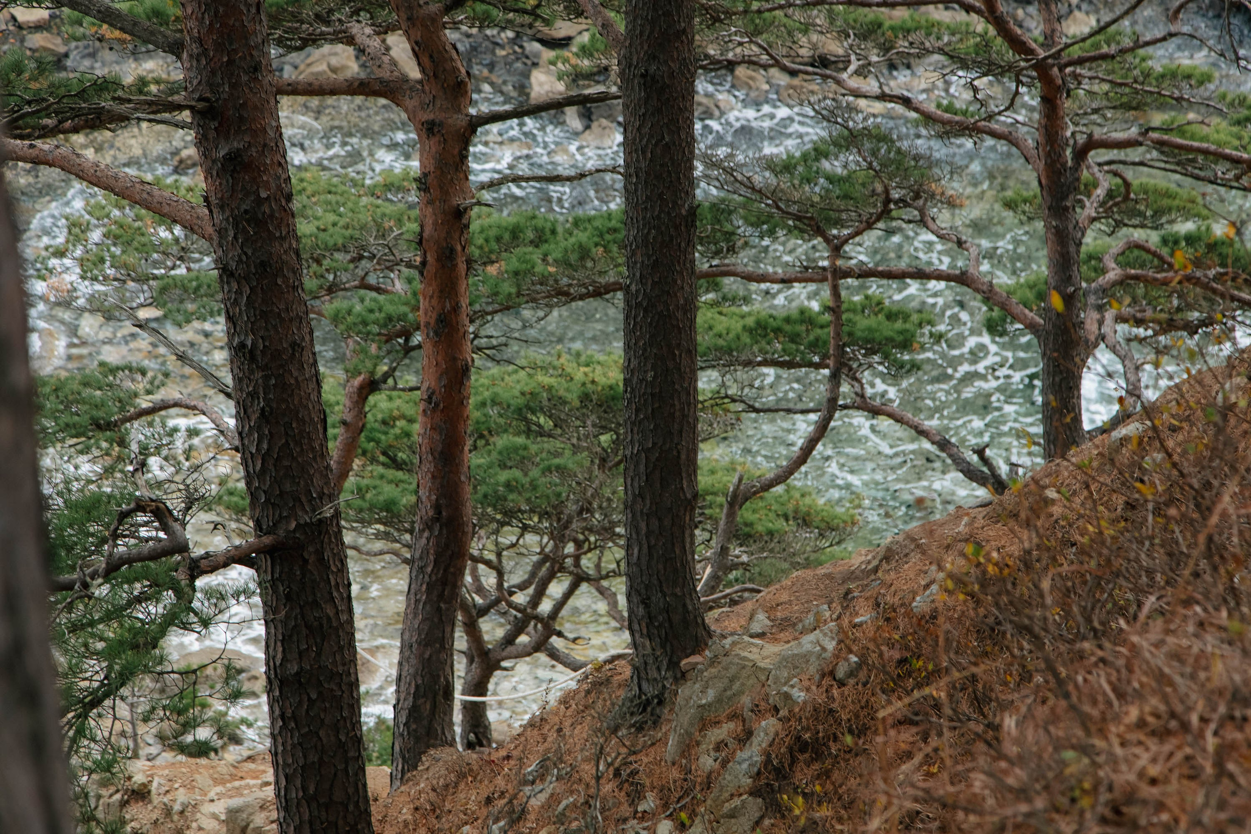 Пока не застроили. Evgeniya Kokurina