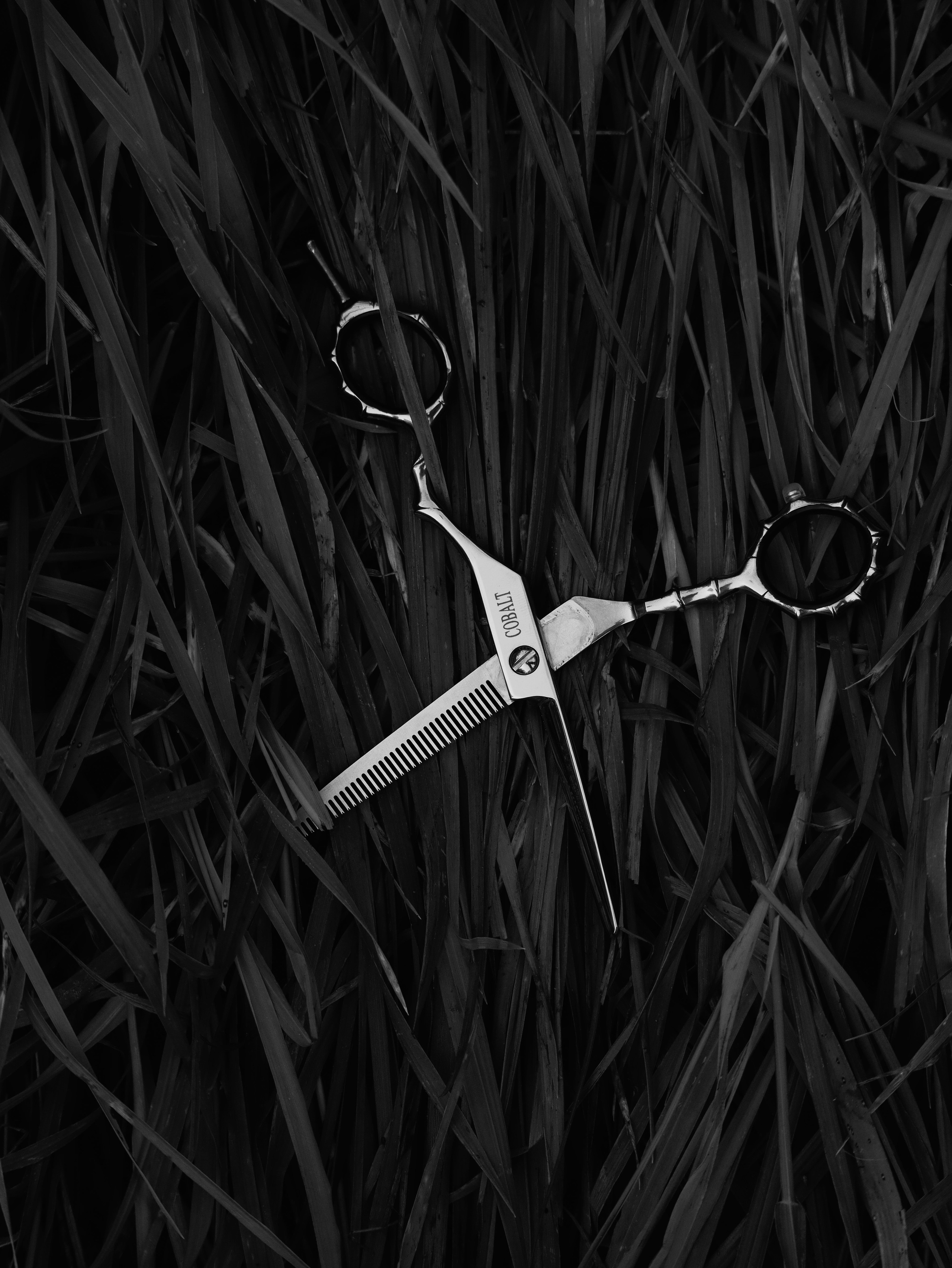 ПРЕДМЕТНАЯ.ИНФО. Кинематографичный фотограф, видеограф Лина Плешакова, Санкт-Петербург