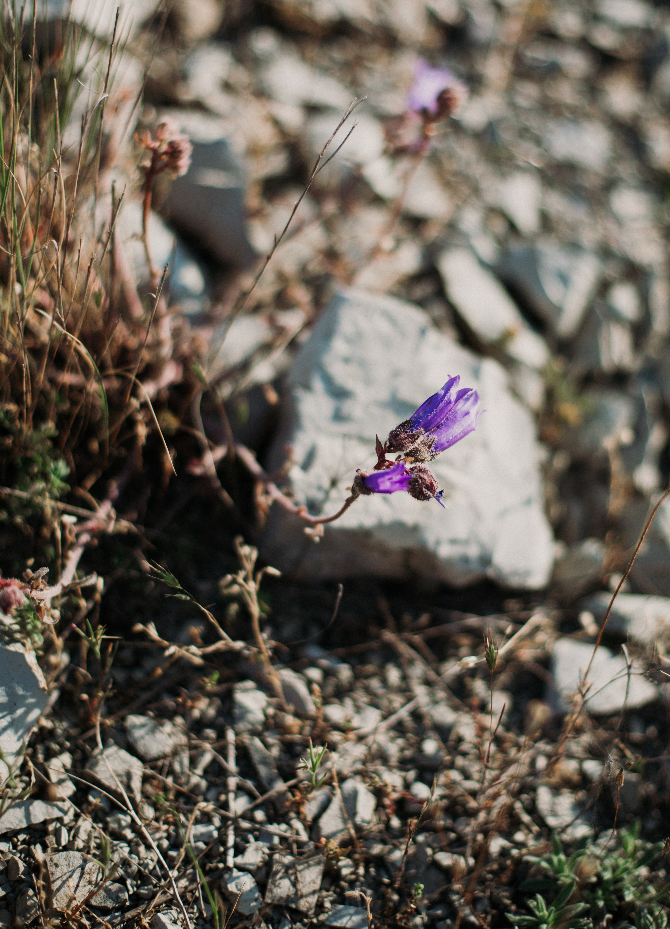 Дороги земли ветров. Портретный фотограф в Москве и Геленджике Кирилл Вахитов