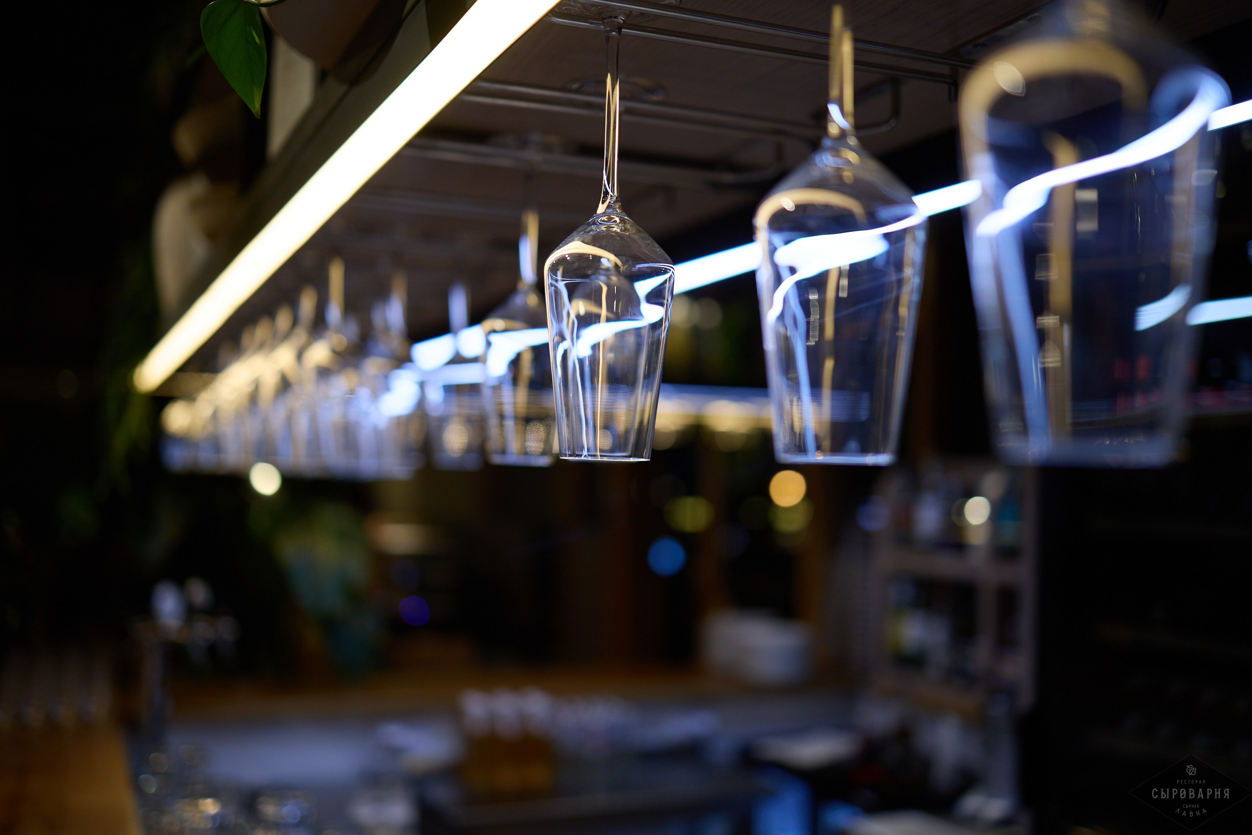 День рождения Алены в Сыроварне. Фотографъ Сергѣевъ. Поймать мгновеніе