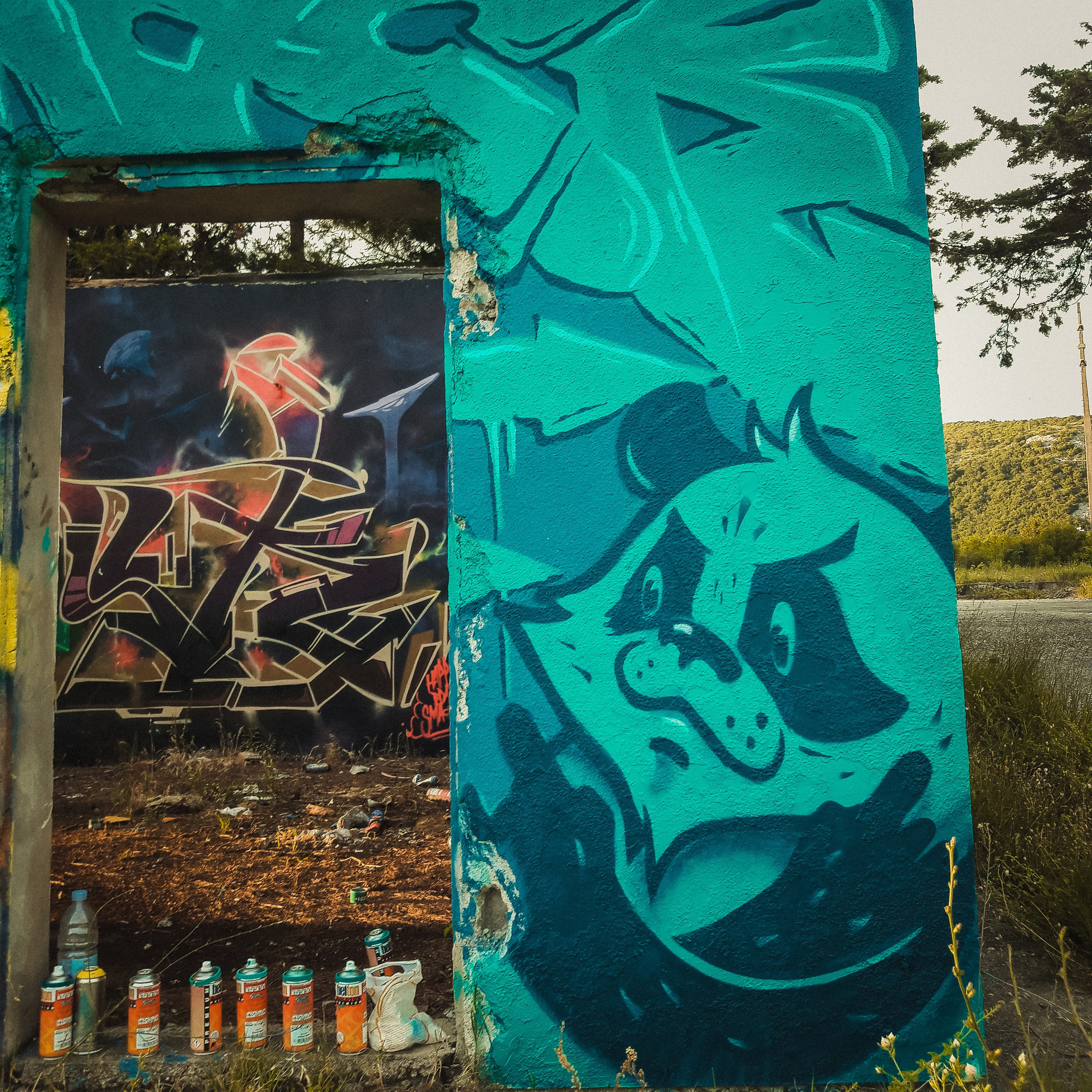 Graffiti. Alexander Stan Shimanov