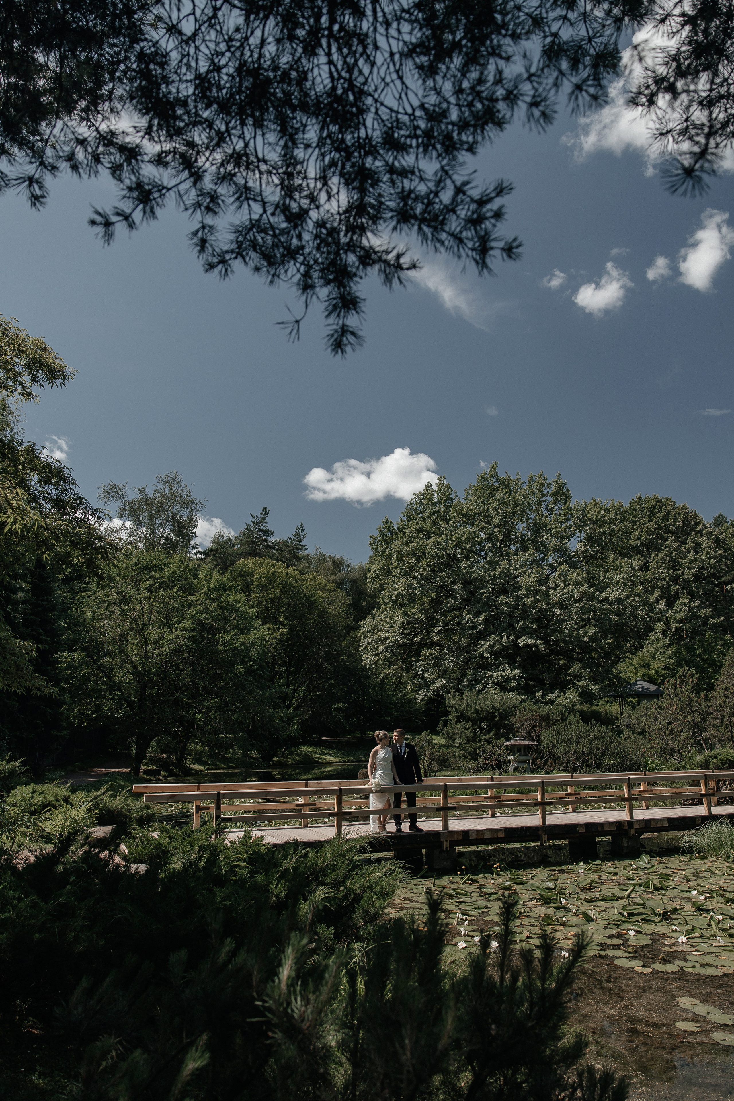 Свадебная фотосессия в Ботаническом саду имени Цицина. Свадебный фотограф в Москве Дарья Олендарёва