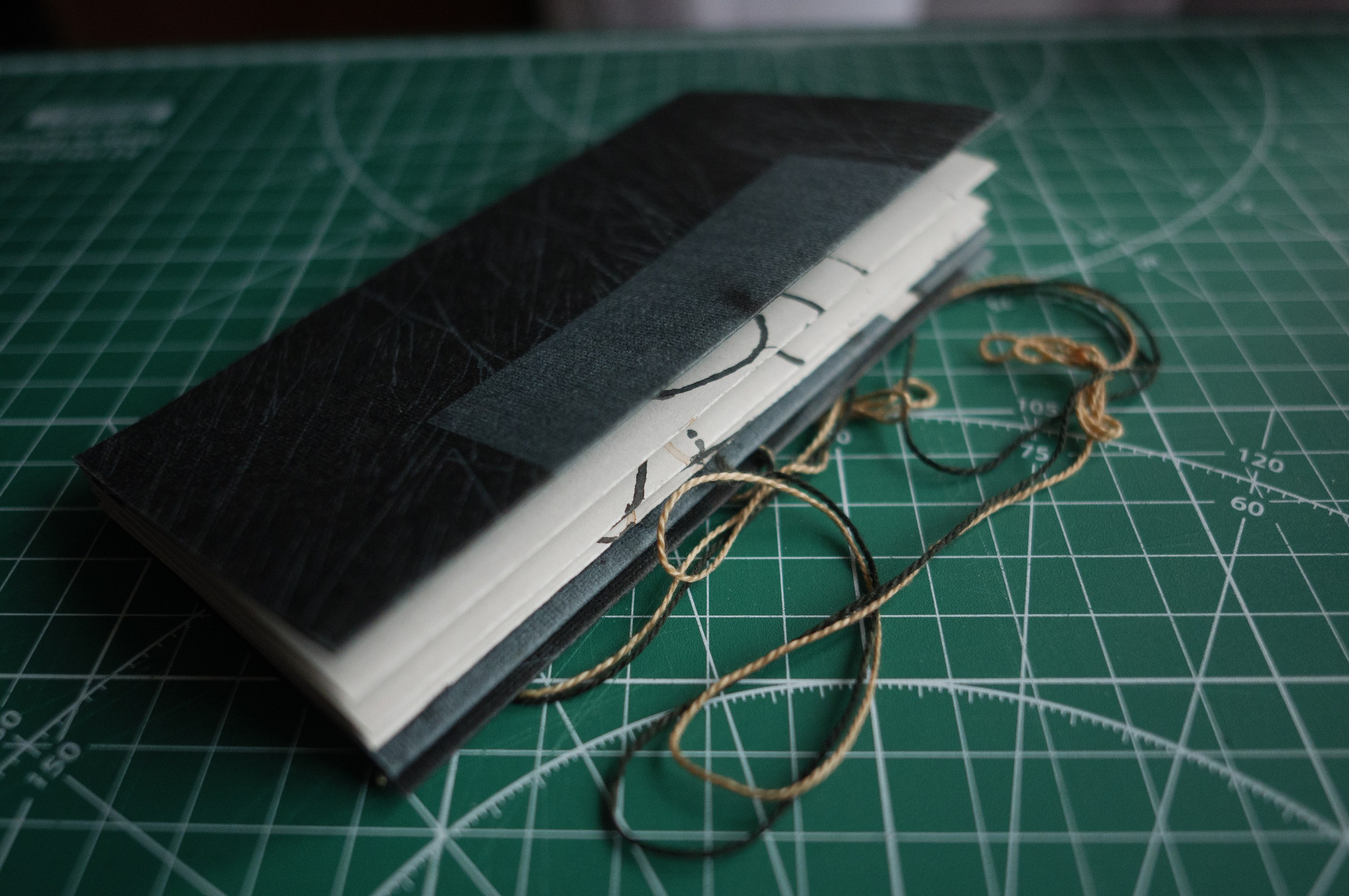 Понедельник 6. Книжная форма. Artist's book. …