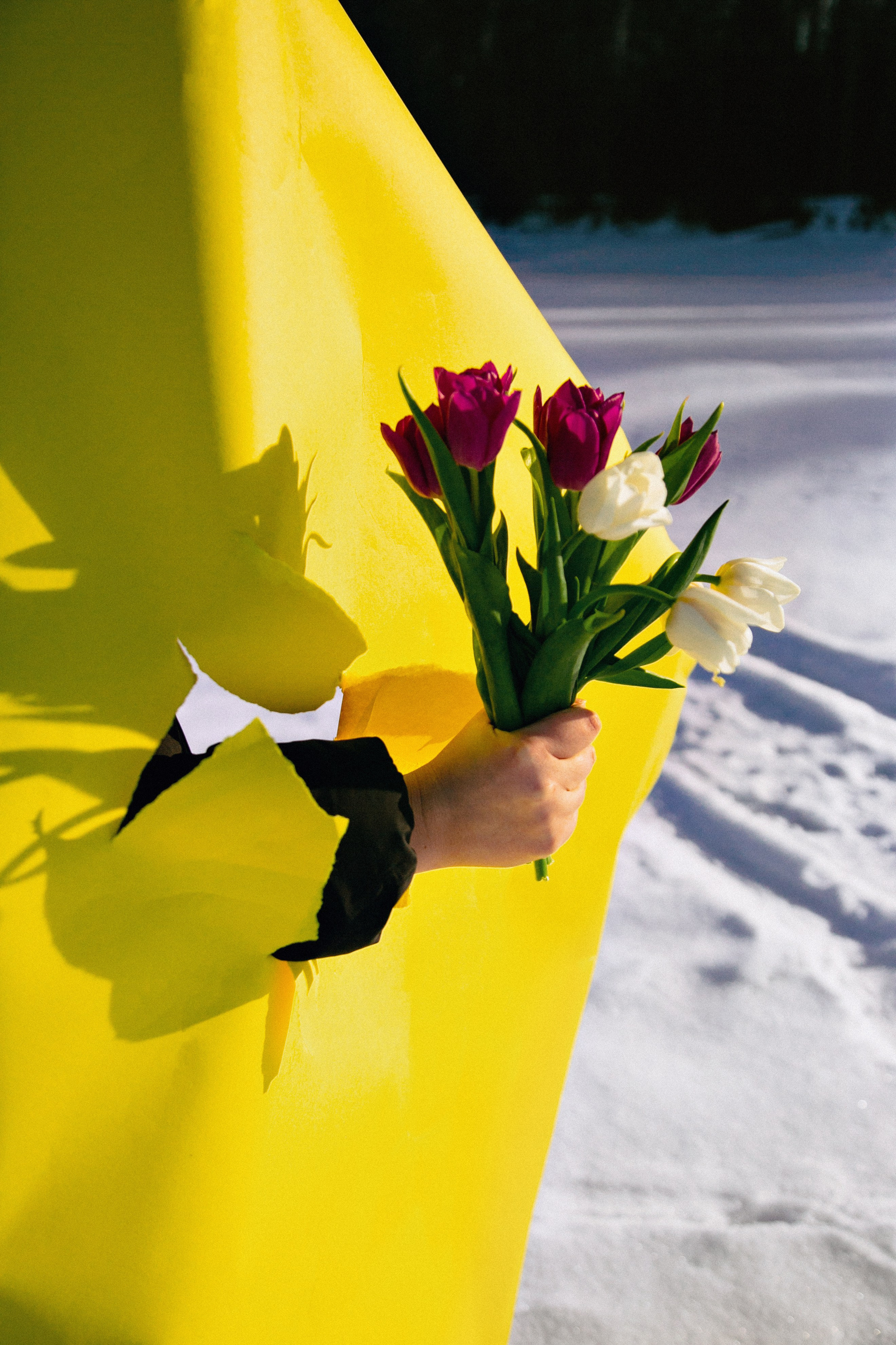 Мультифотограф Занадворова Евгения