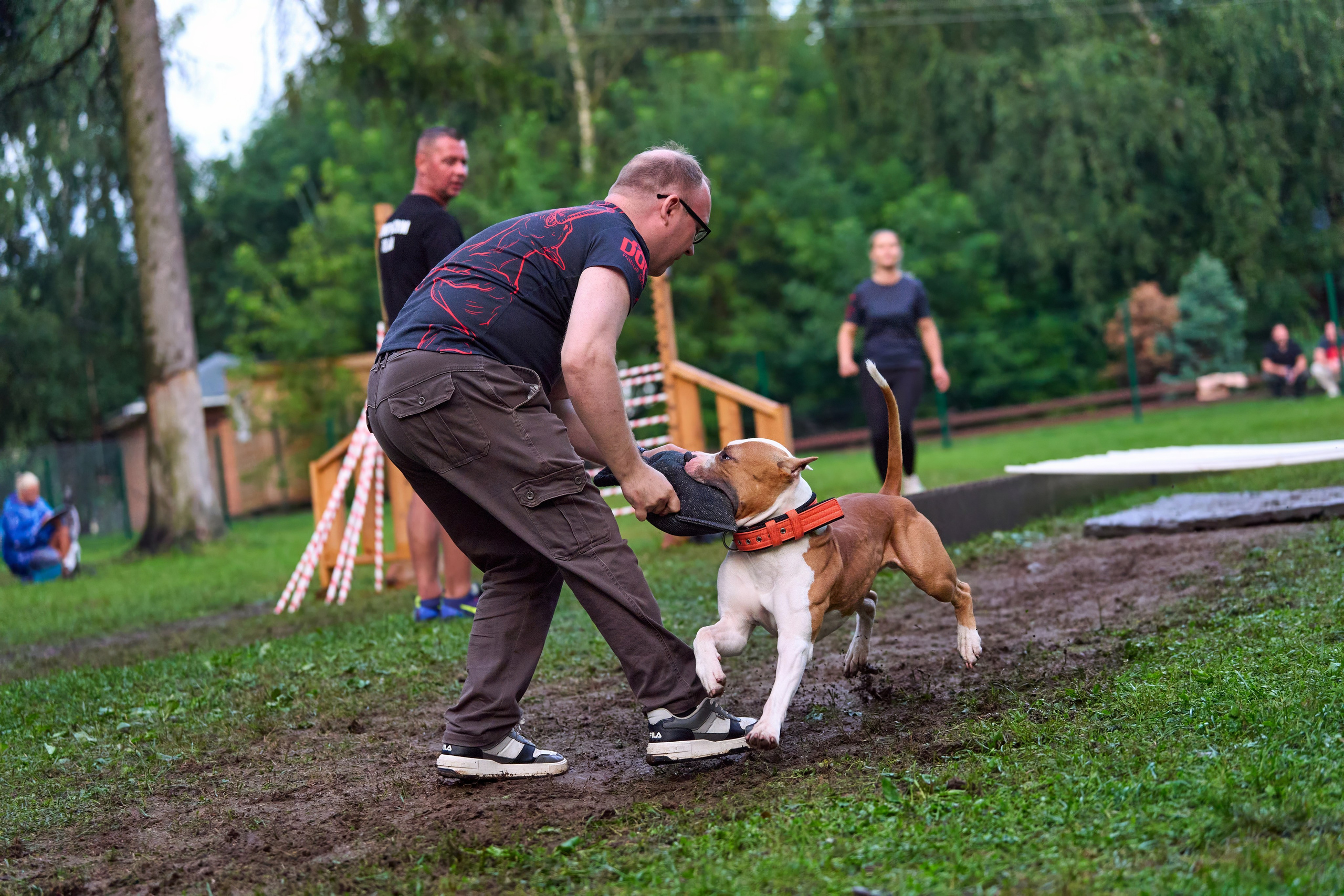 Jump'n'Gym JUMP! — 2024. Фотограф-анималист Михаил Манухин