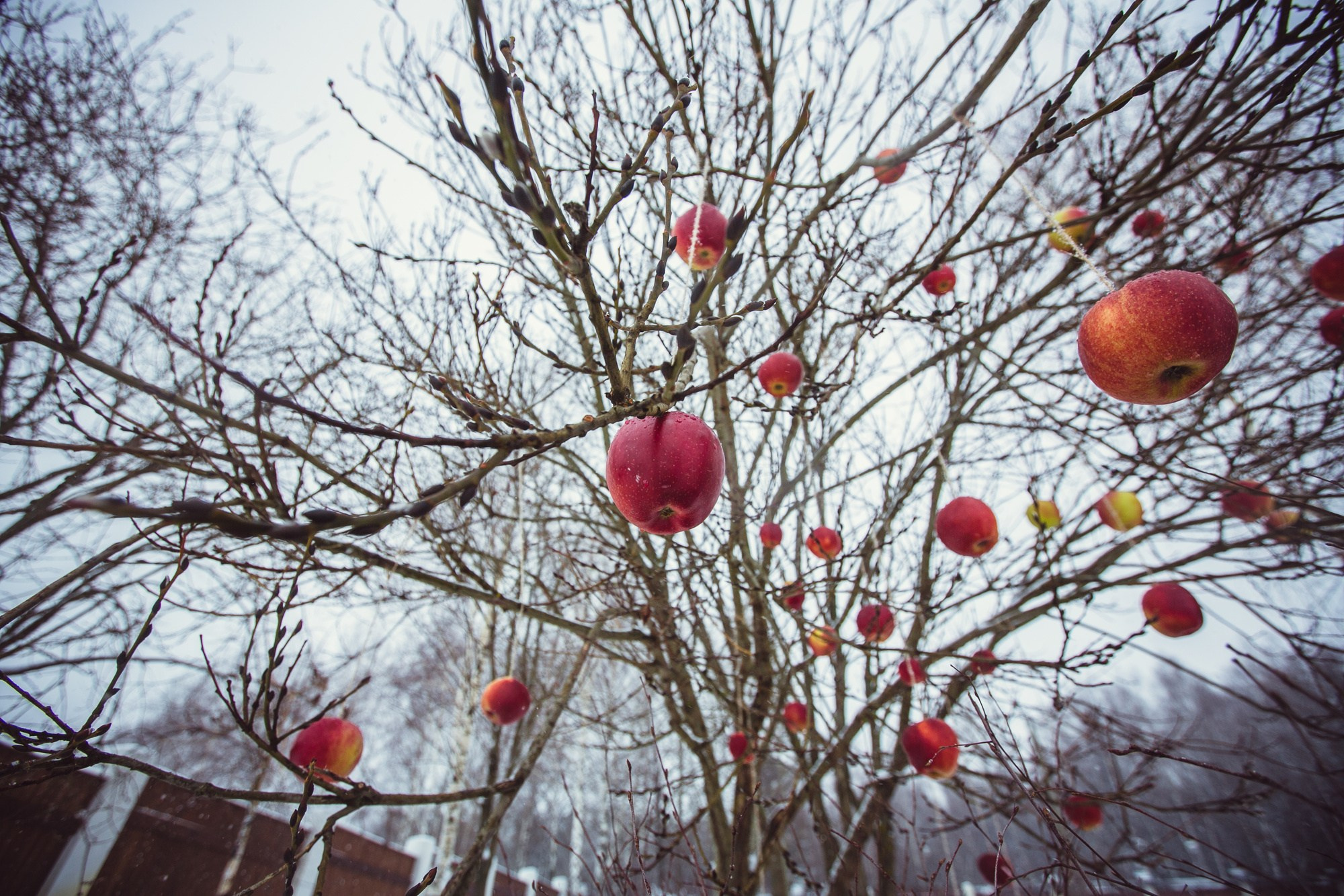 Зимняя свадьба в русских традициях. Семейный, портретный и свадебный фотограф в Санкт-Петербурге и Москве