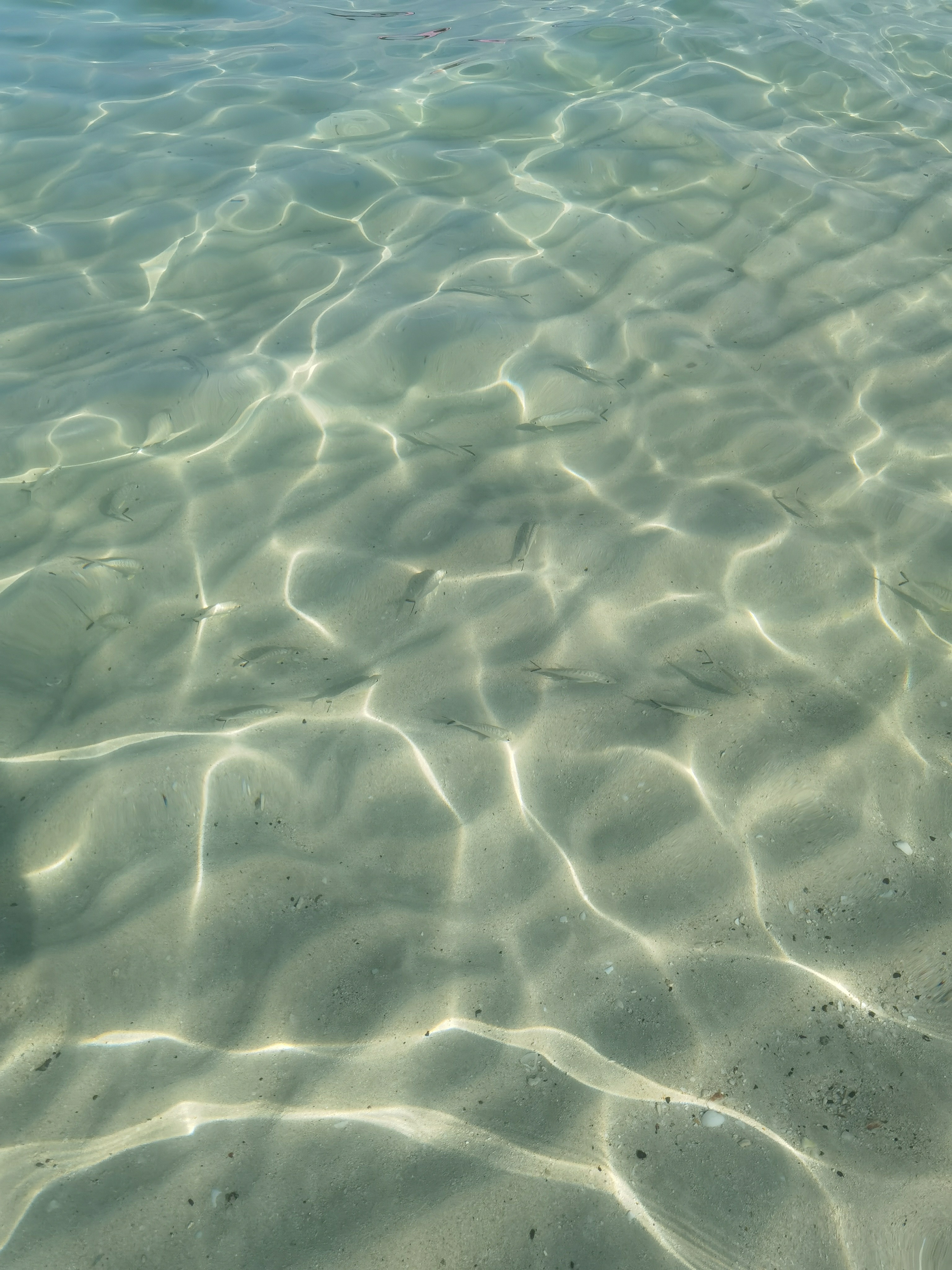 Дубай. Елена Павленко. Фотограф. Москва