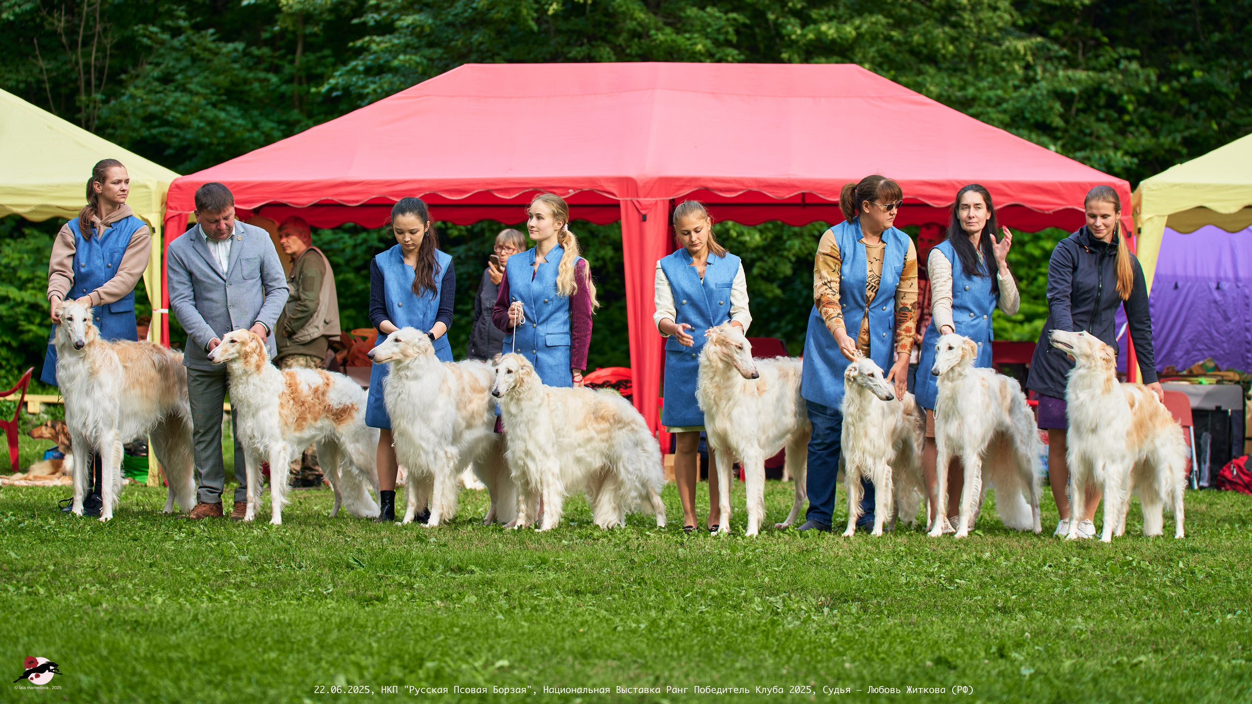 22.06.2025 | Национальная Выставка НКП "Русская Псовая Борзая"