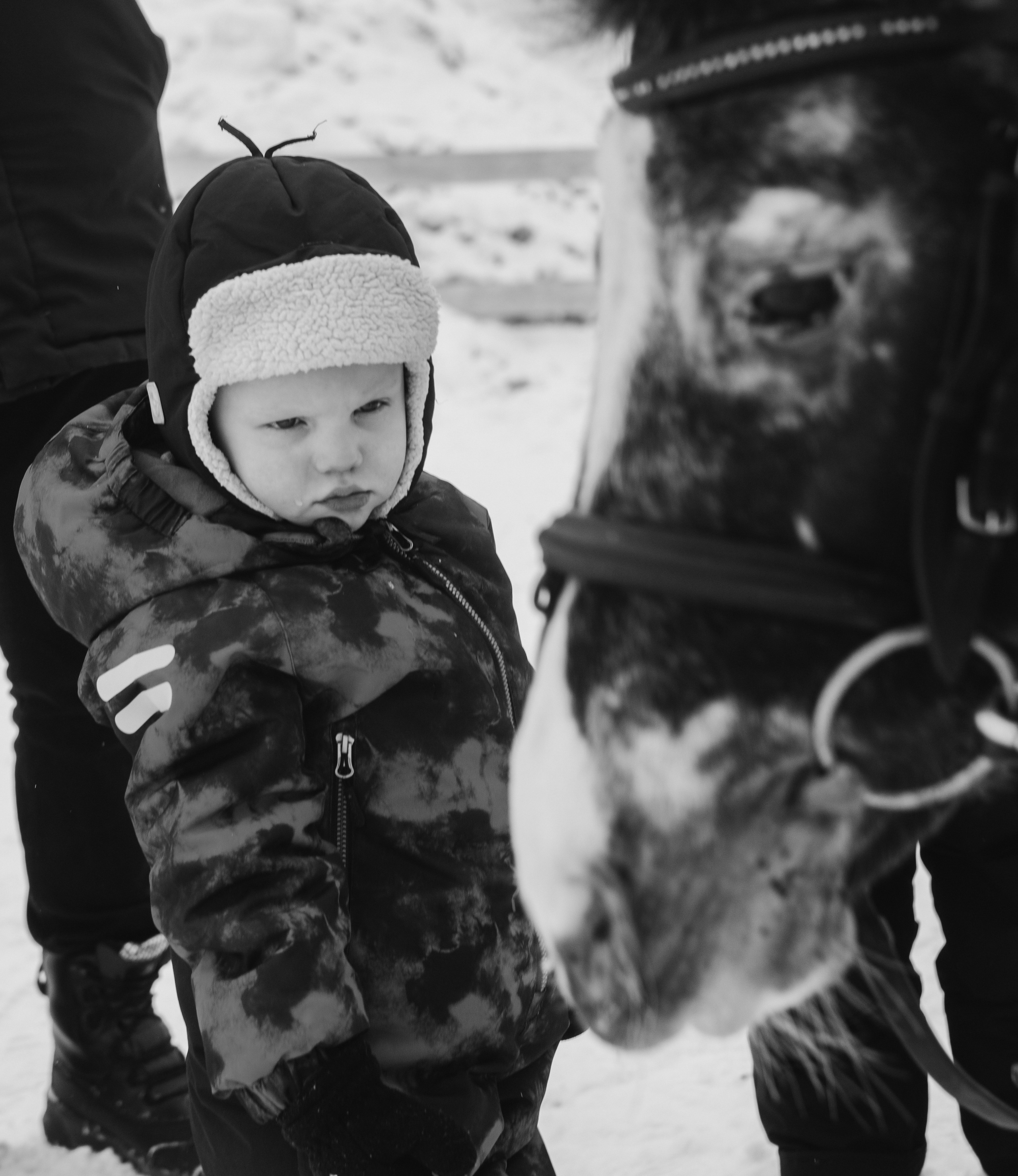 Выходной на конюшне. Семейный, ньюборн фотограф, фотограф на роды в Москве, Виктория Тюльдюкова
