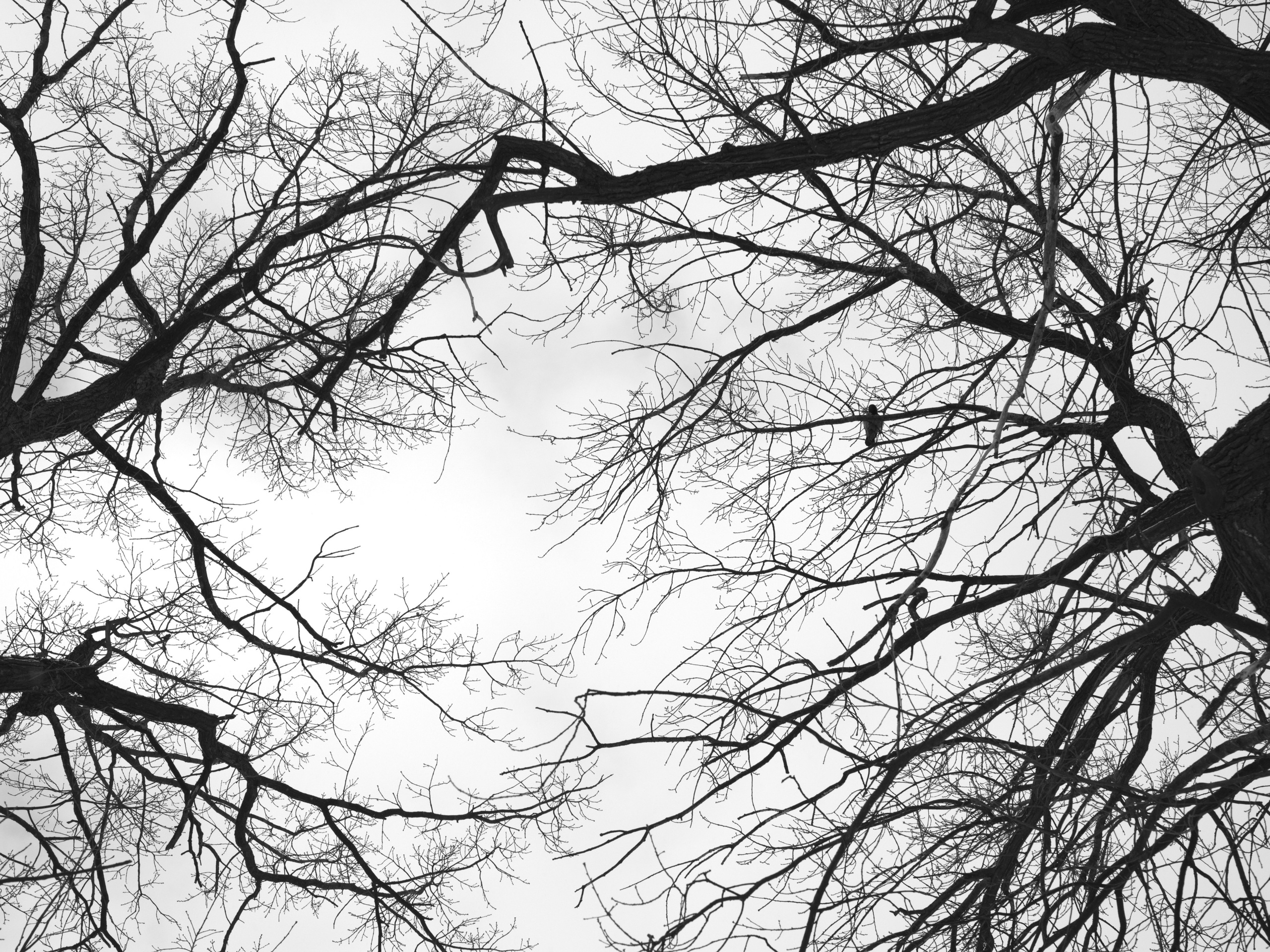 Distance. Artem Glukhan