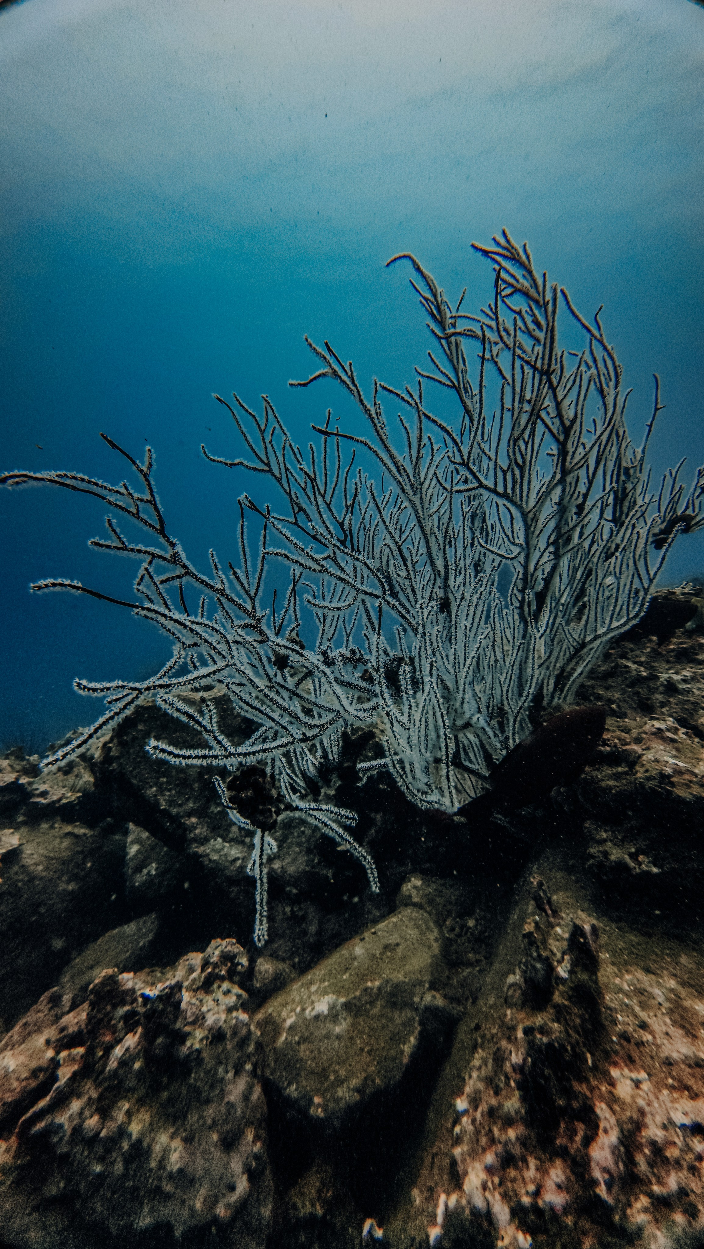 Для тех кто не боится сделать первый шаг. Дайвинг во Вьетнаме