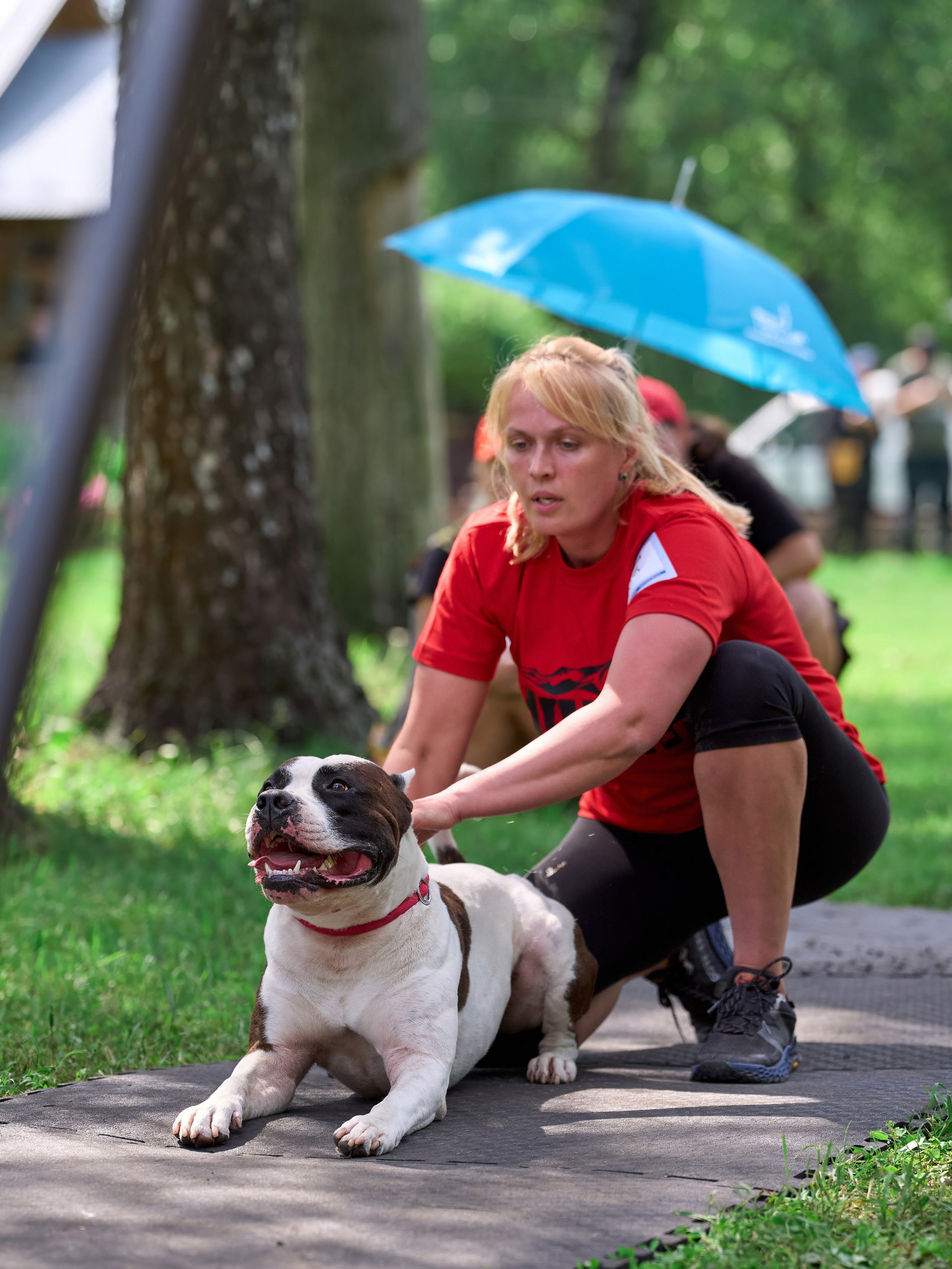 Двухдневные соревнования «Jump'n'Gym Fest — 2024». Фотограф-анималист Михаил Манухин