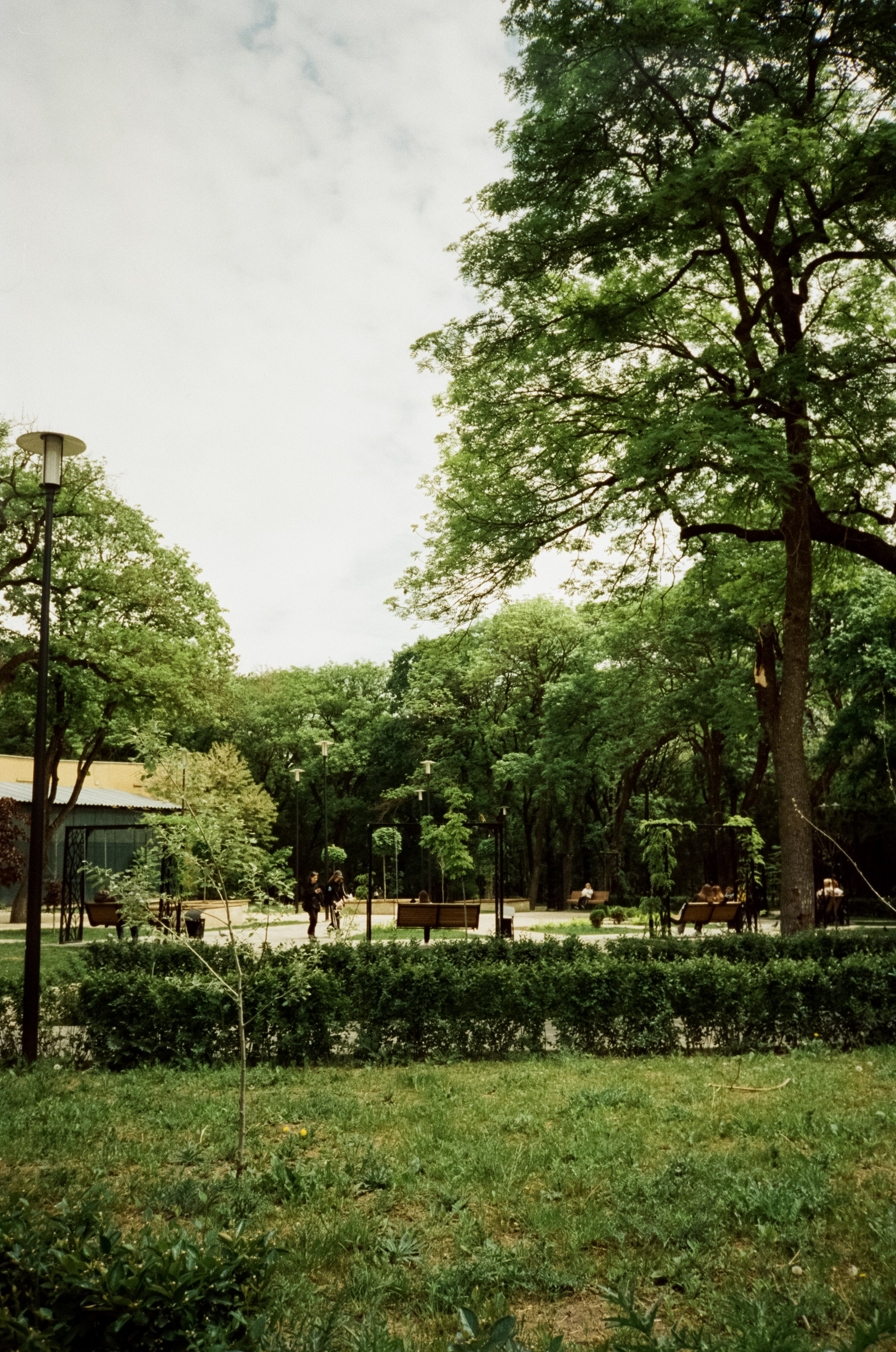 Прогулка в Курортном парке. Ессентуки. Фотограф-документалист Мария Осокина