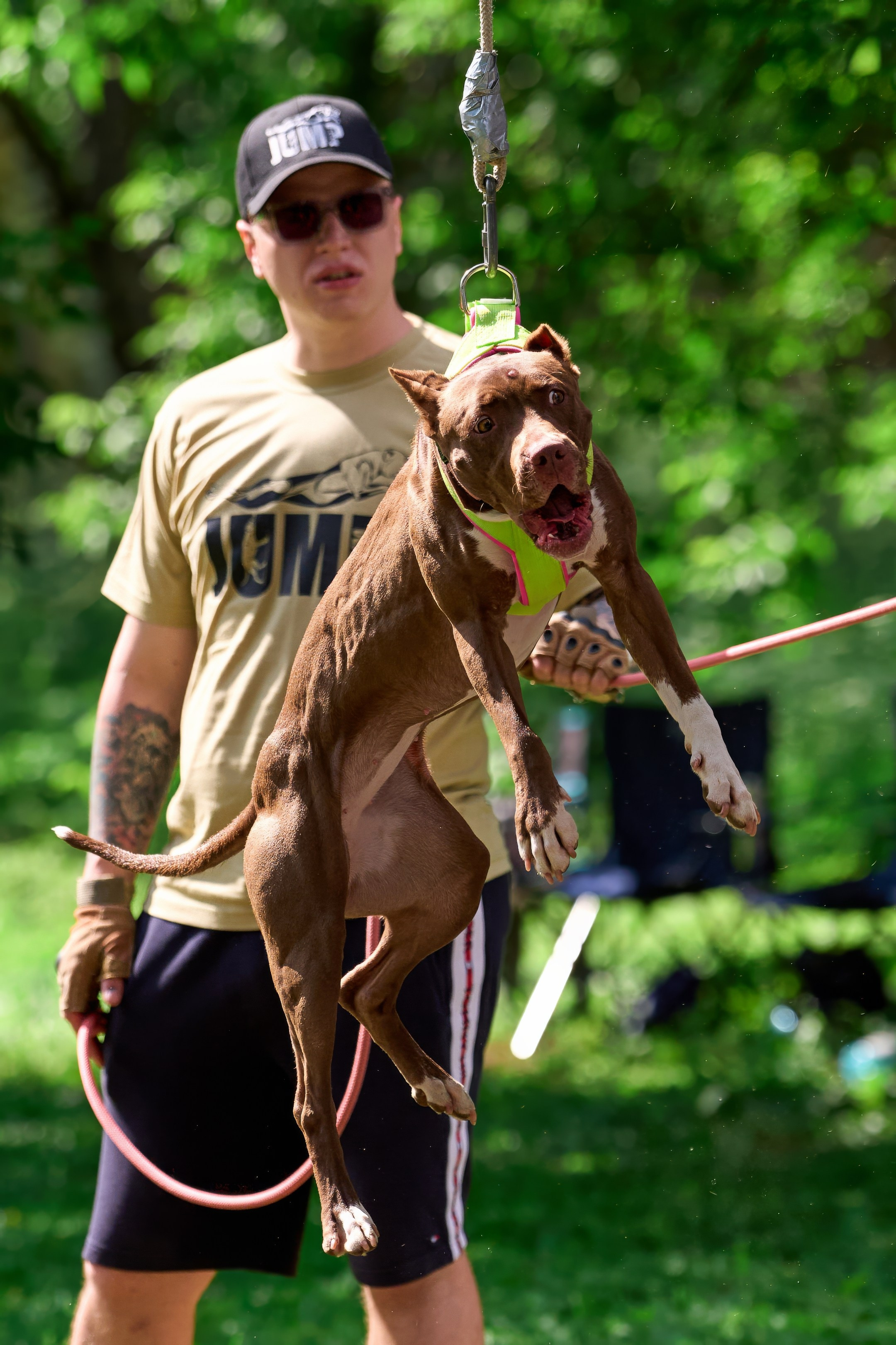 Двухдневные соревнования «Jump'n'Gym Fest — 2024». Фотограф-анималист Михаил Манухин
