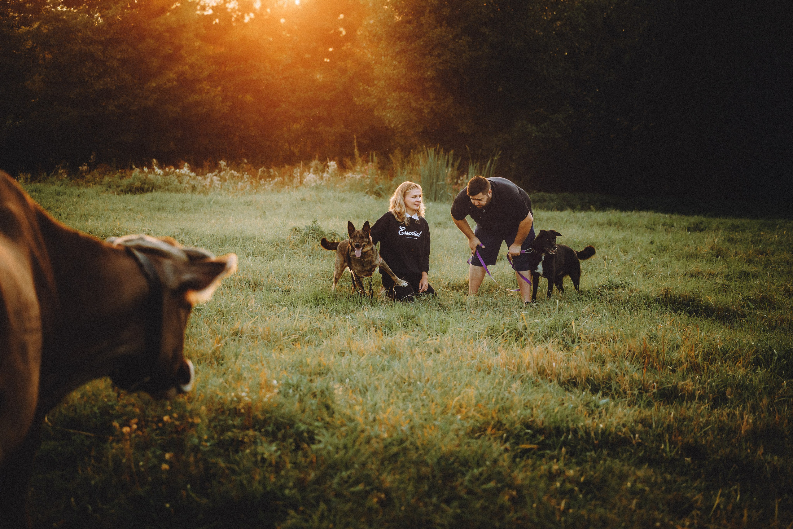 Лучшего времени, чем сейчас — не будет