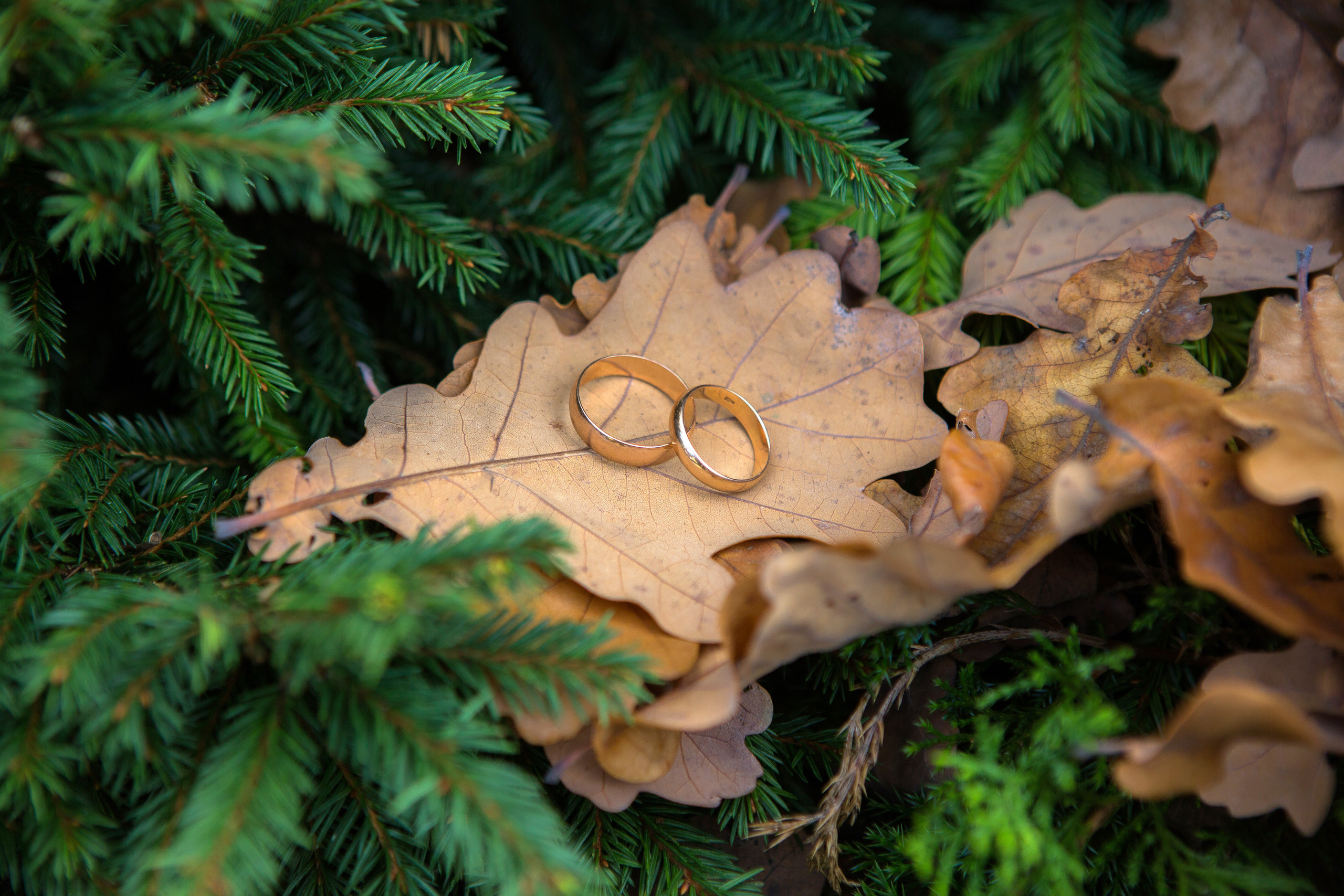 Фотограф Уфа Фотограф в Уфе Фотографы Уфы Свадебный фотограф Уфа Свадебный фотограф в Уфе Фотограф на никах Уфа Фотограф на Юбилей Уфа Каталог свадебных фотографов Уфы Фотограф Алексей Муравьёв
