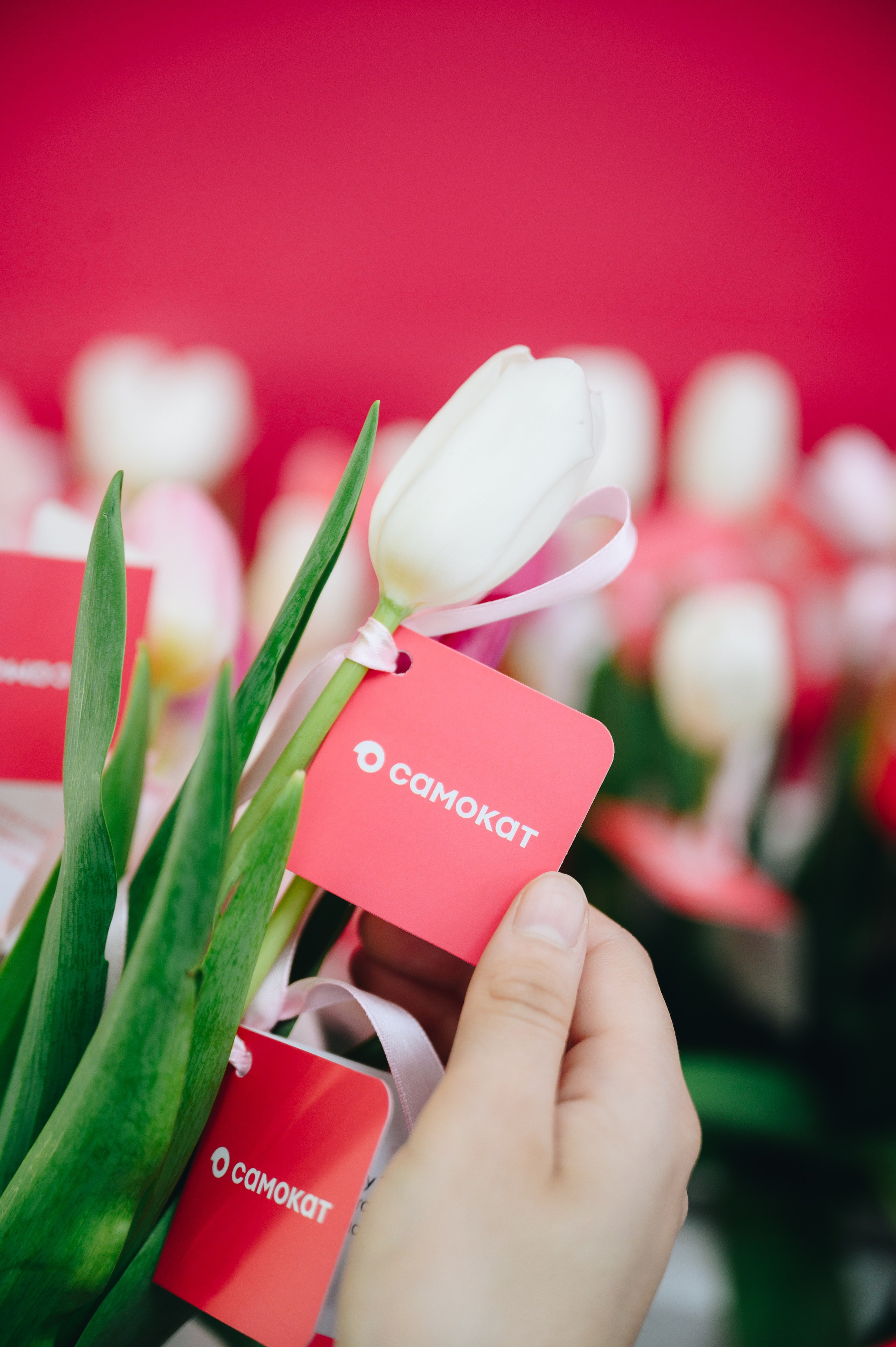 Репортажная съемка Красноярск,  фотосъемка конференций, юбилеев. Юлия Раскова — Портретный и семейный фотограф в Красноярске