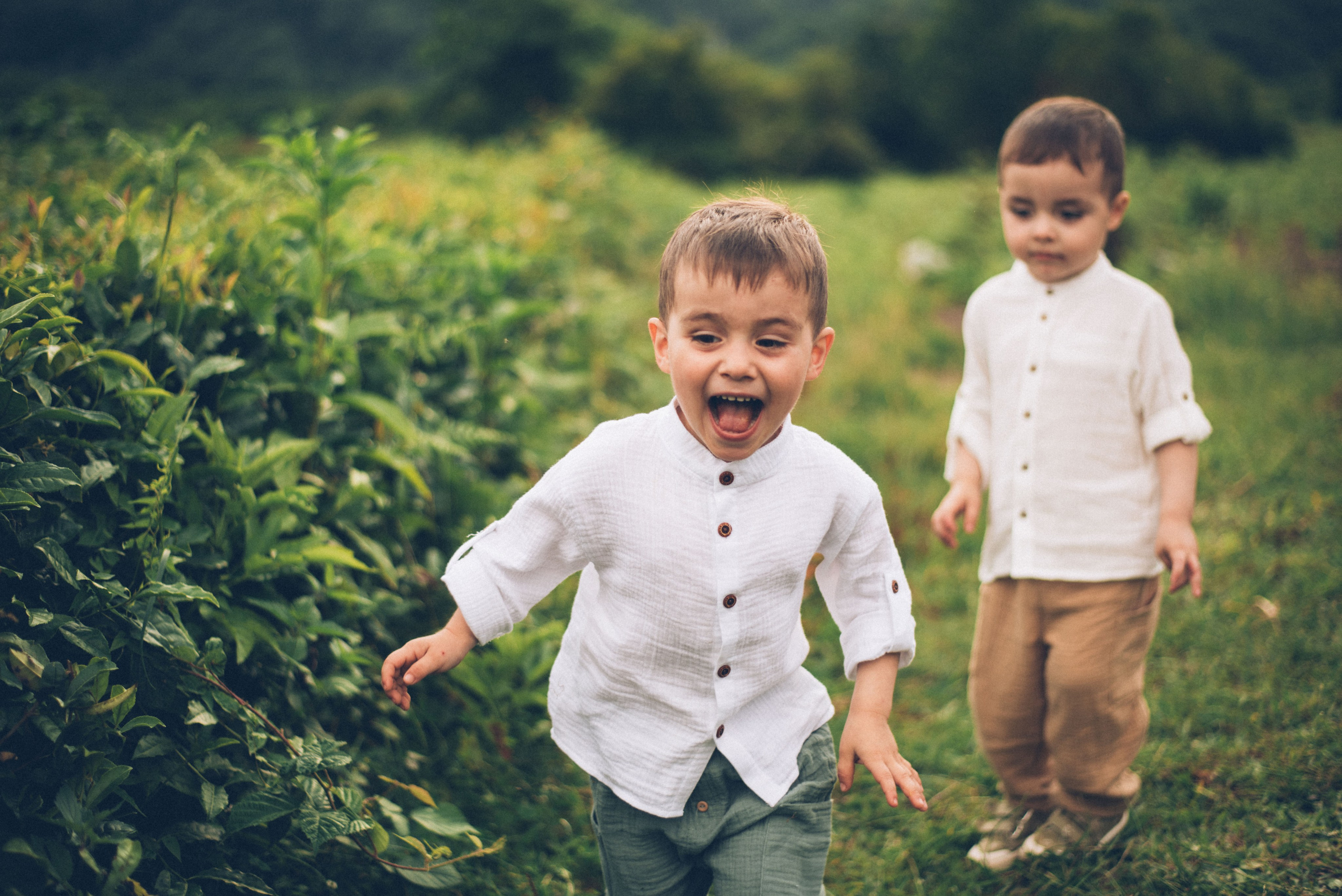 Фотосъемки в горах на чайных плантациях Сочи. Фотограф в Сочи — Маргарита Поганова