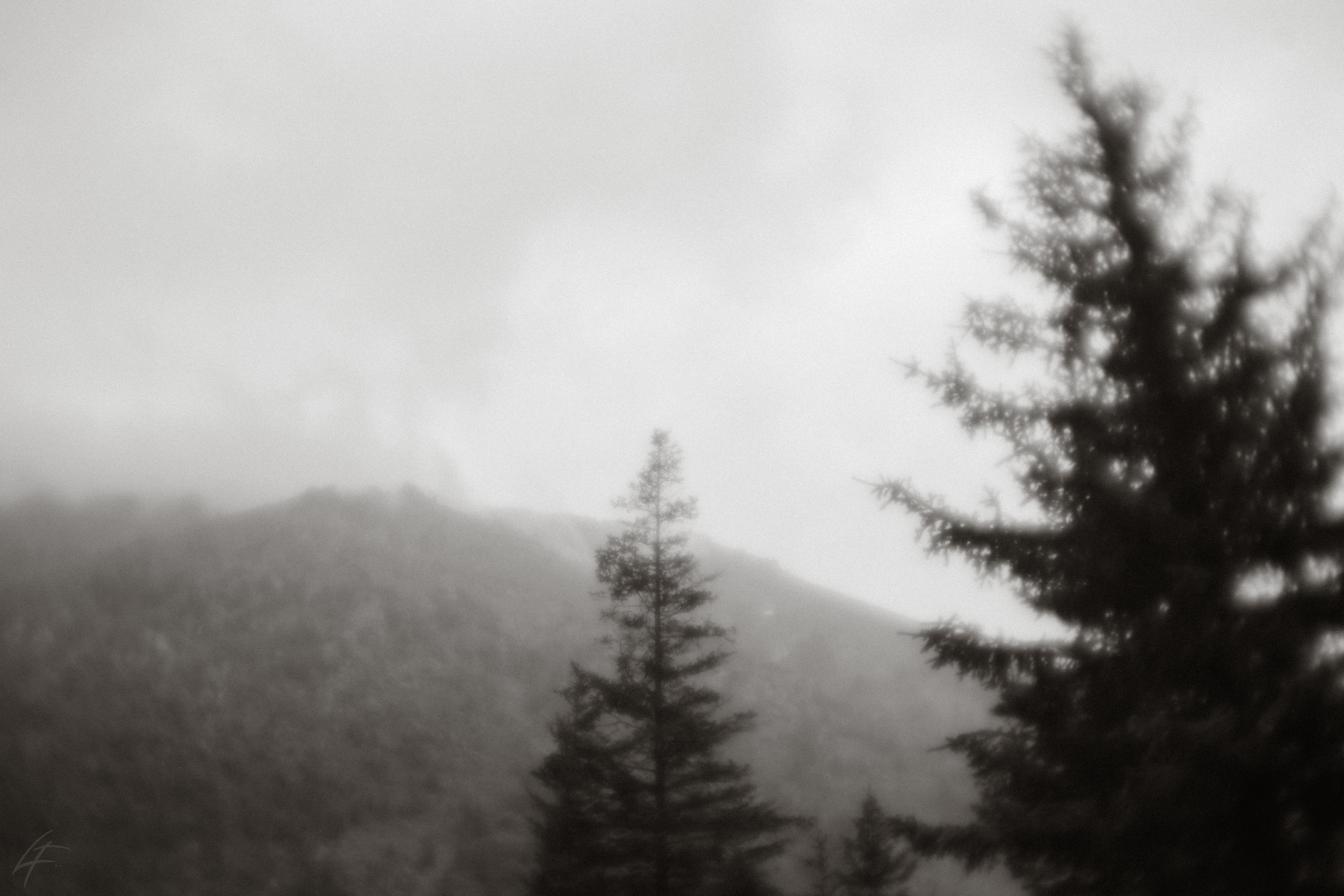 Алтай 2025. Лиза Фирстова