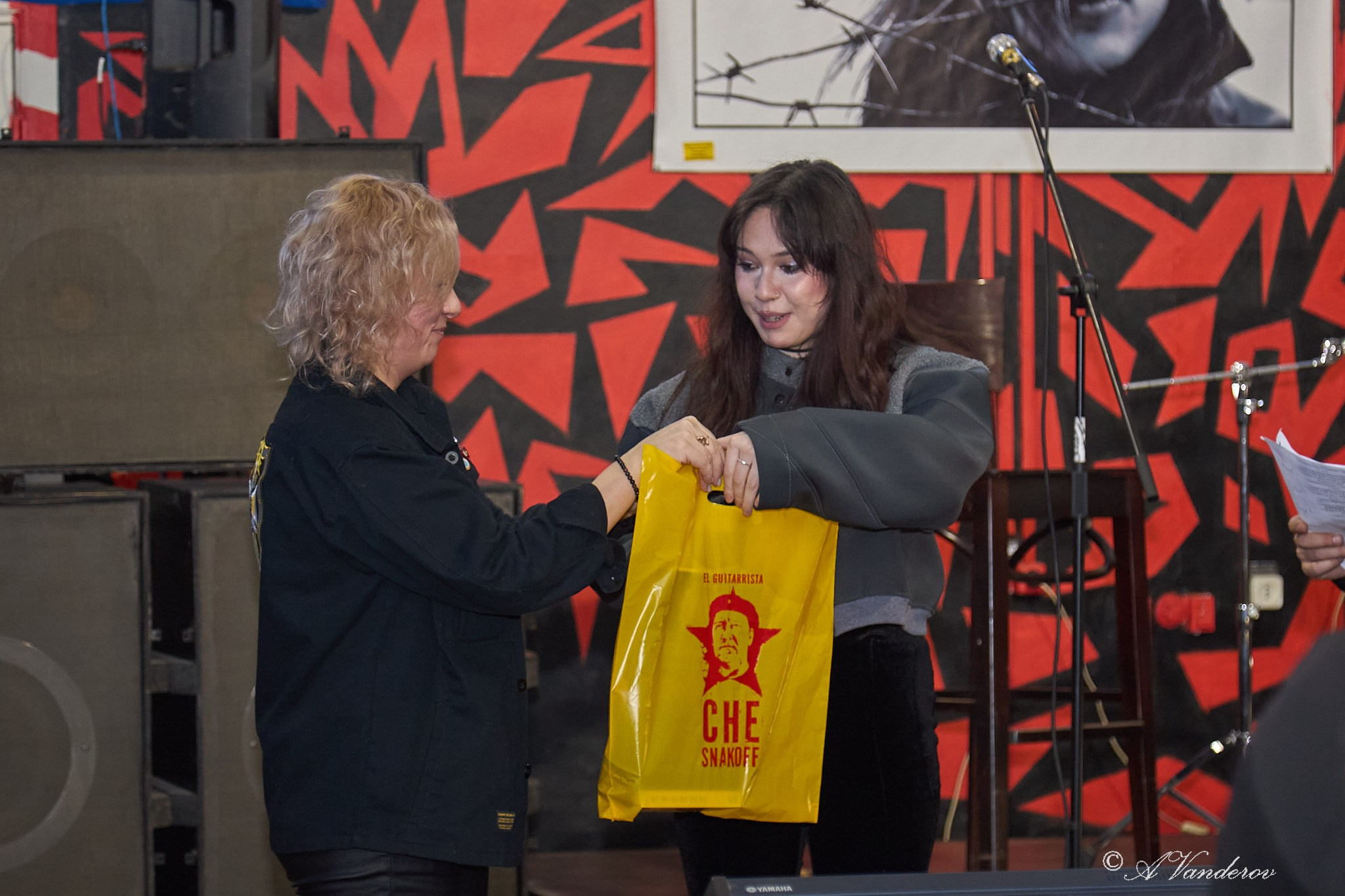 Турнир менестрелей. Фотограф Омск | Александр Вандеров