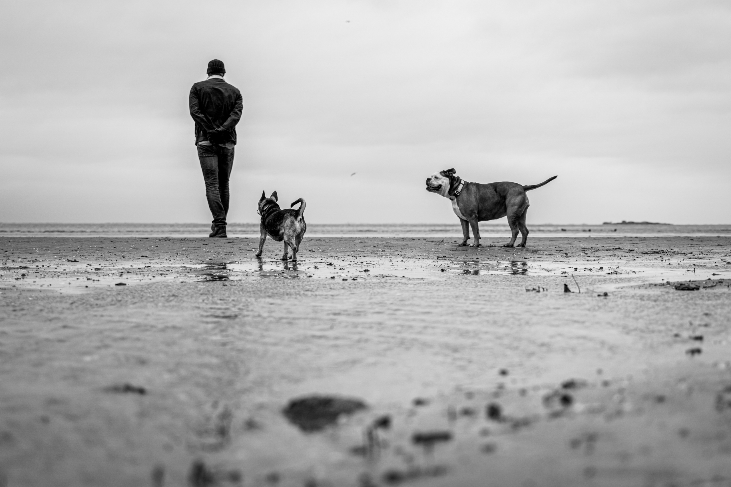 Курс «Стрит фотография»