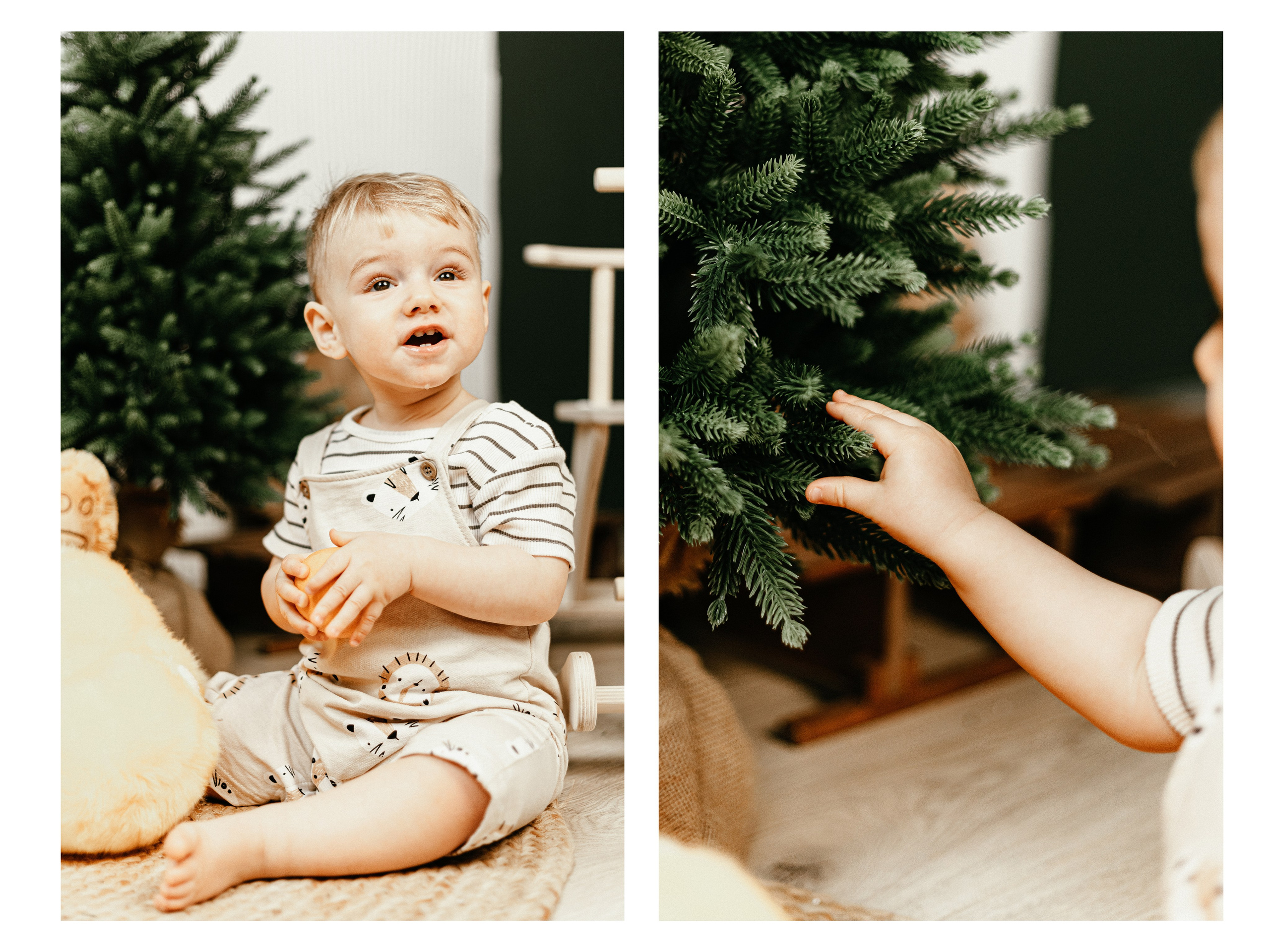 Новогодние. Арт-фотограф Крис Л. в Тобольске: портрет, семейные, свадьбы