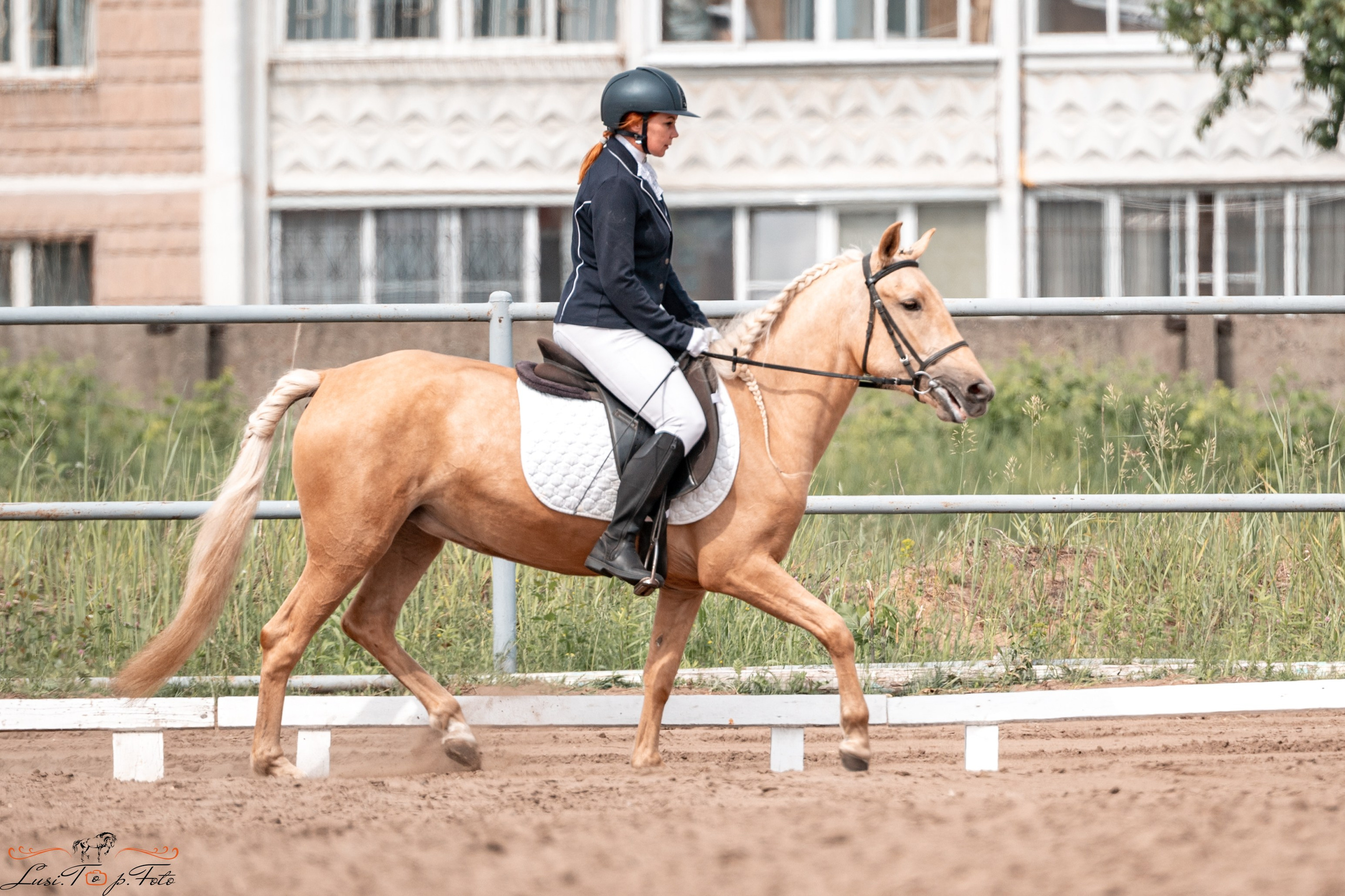 Областные соревнования по выездке. Тверь. Конный и фотограф с животными в Твери Топталова Люся