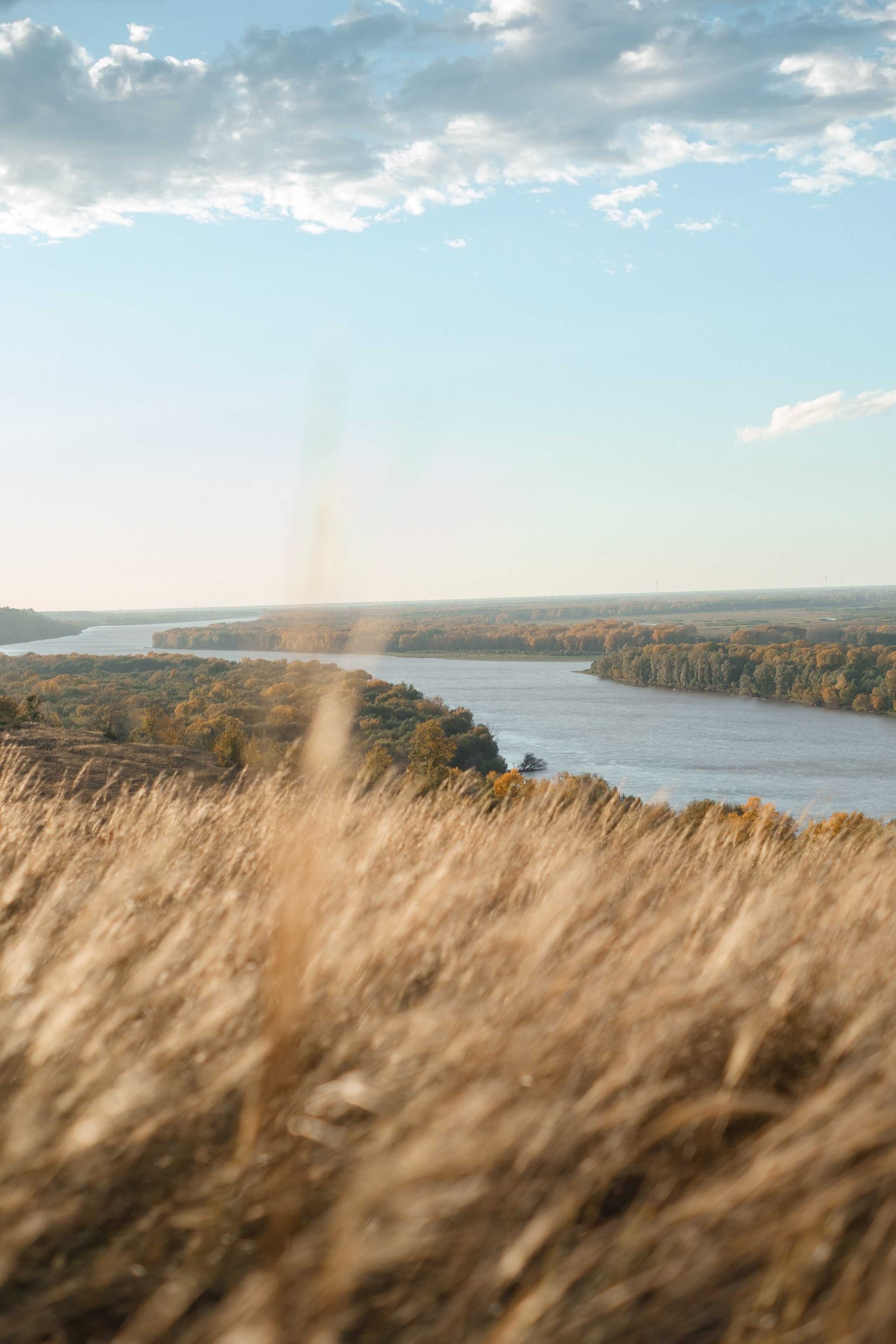 Яна и Никита с девчонками. Фотограф в Барнауле и на Алтае Маша Савова