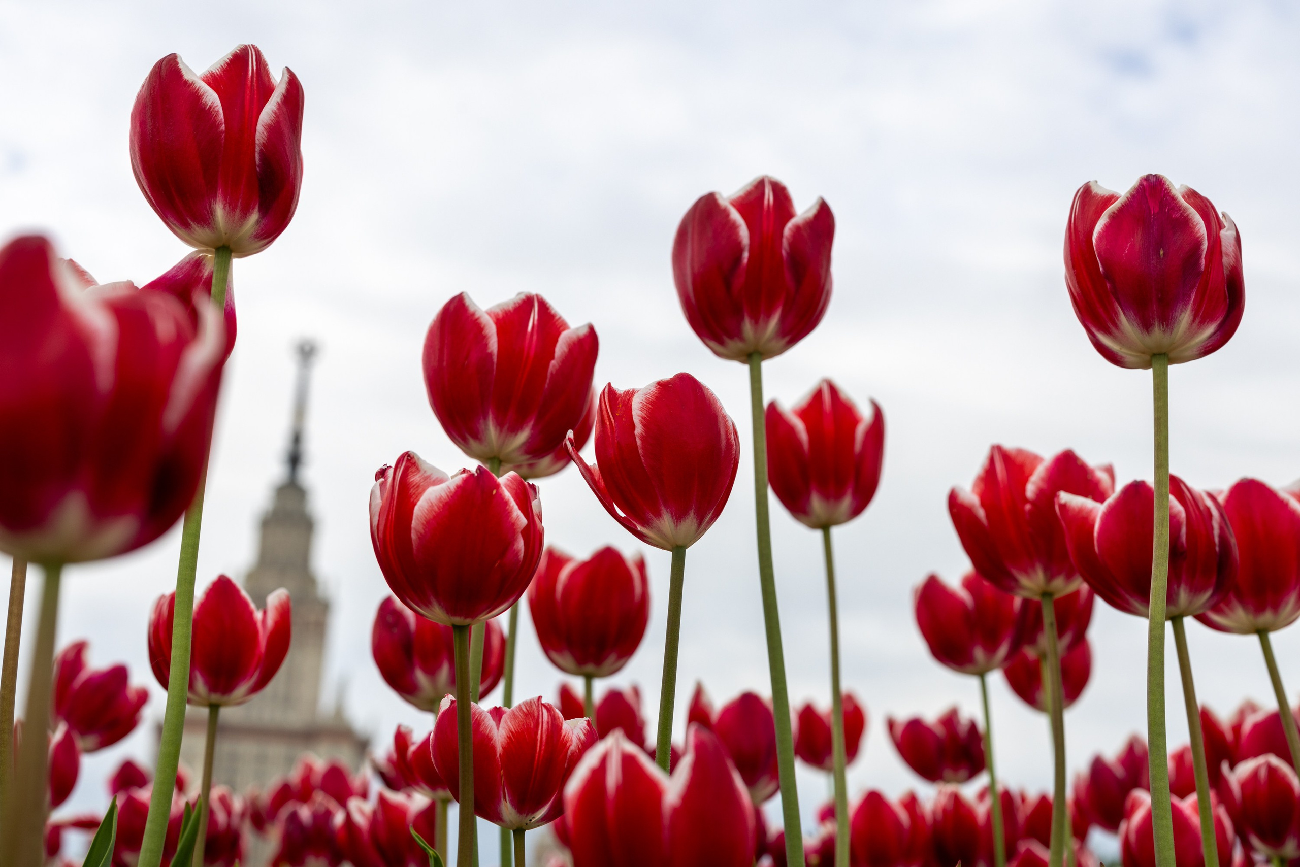 Фокус внимания. Главная