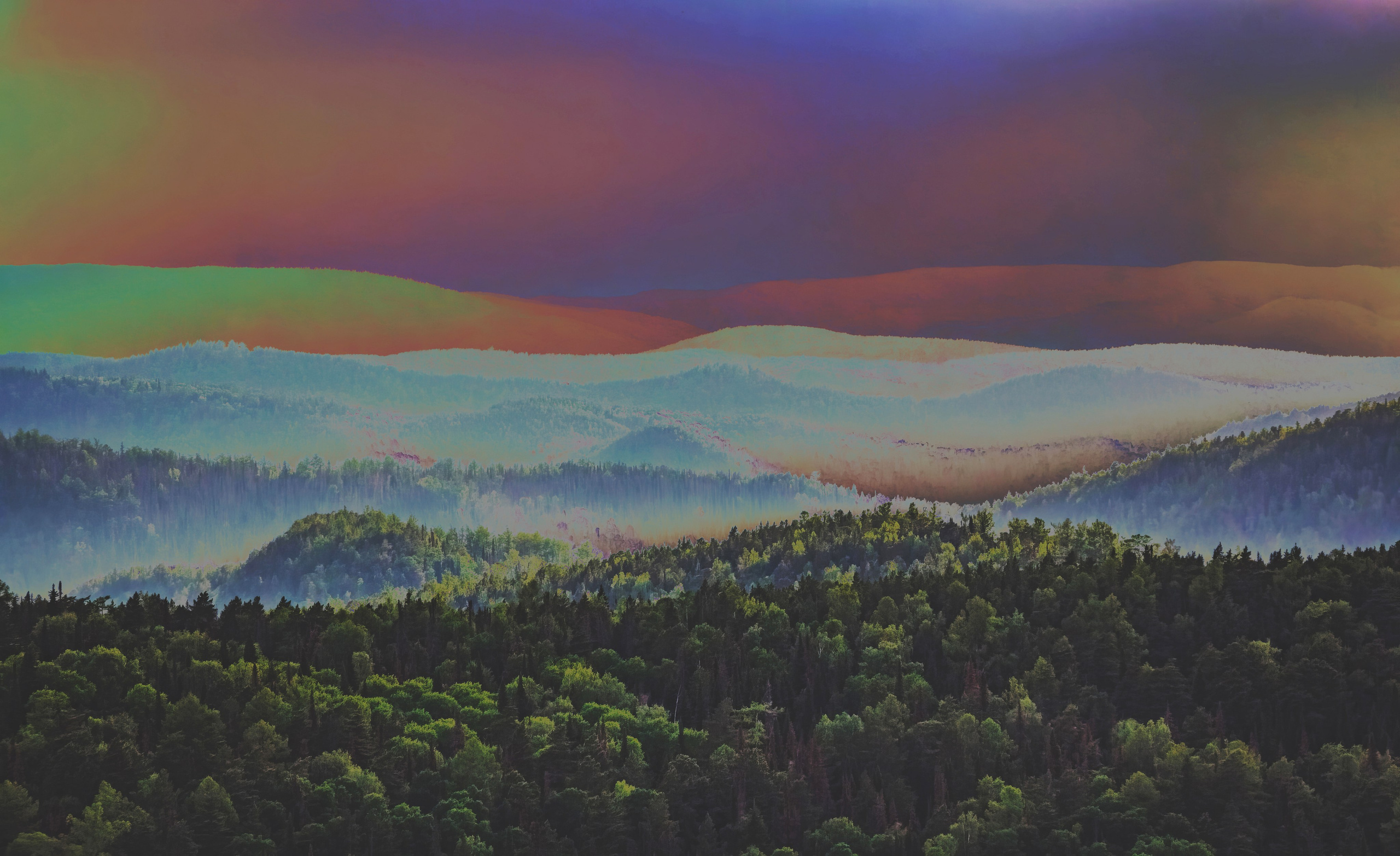 Пристанище. Элина Гусарова