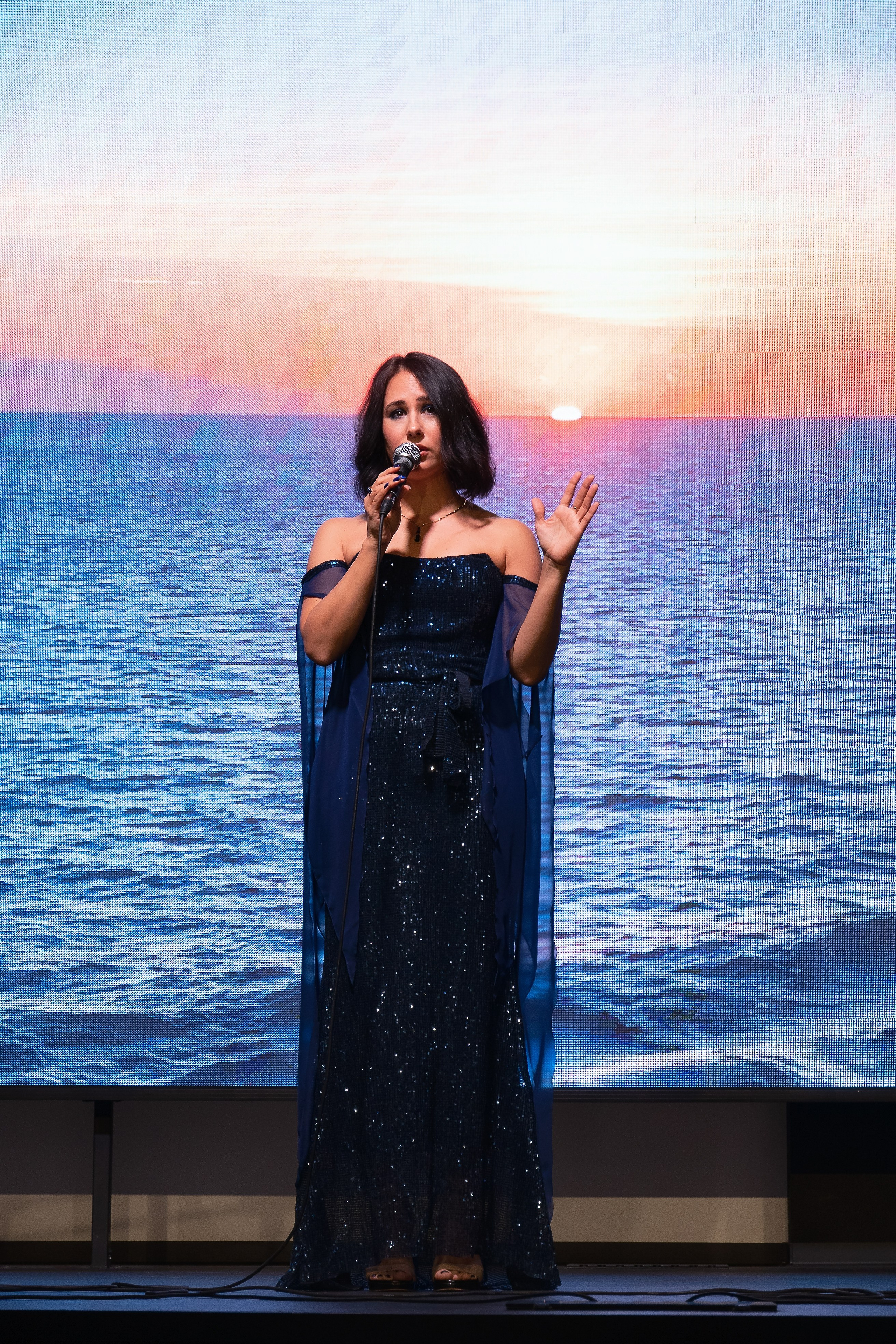 КОНЦЕРТ. Света ЧЕ. Мастер интеллектуальной фотографии. Краснодар