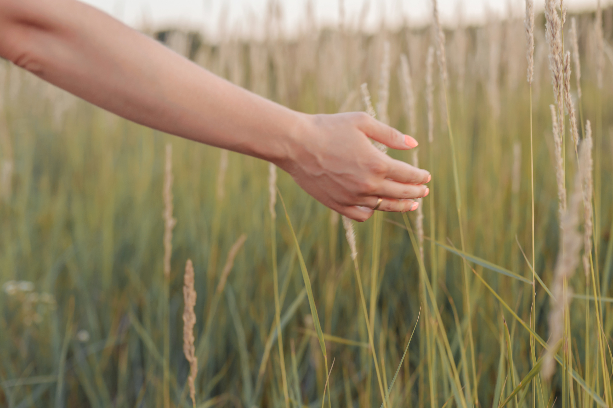 Семейная фотосессия. Свадебный фотограф в Москве Ульяна Вишнякова