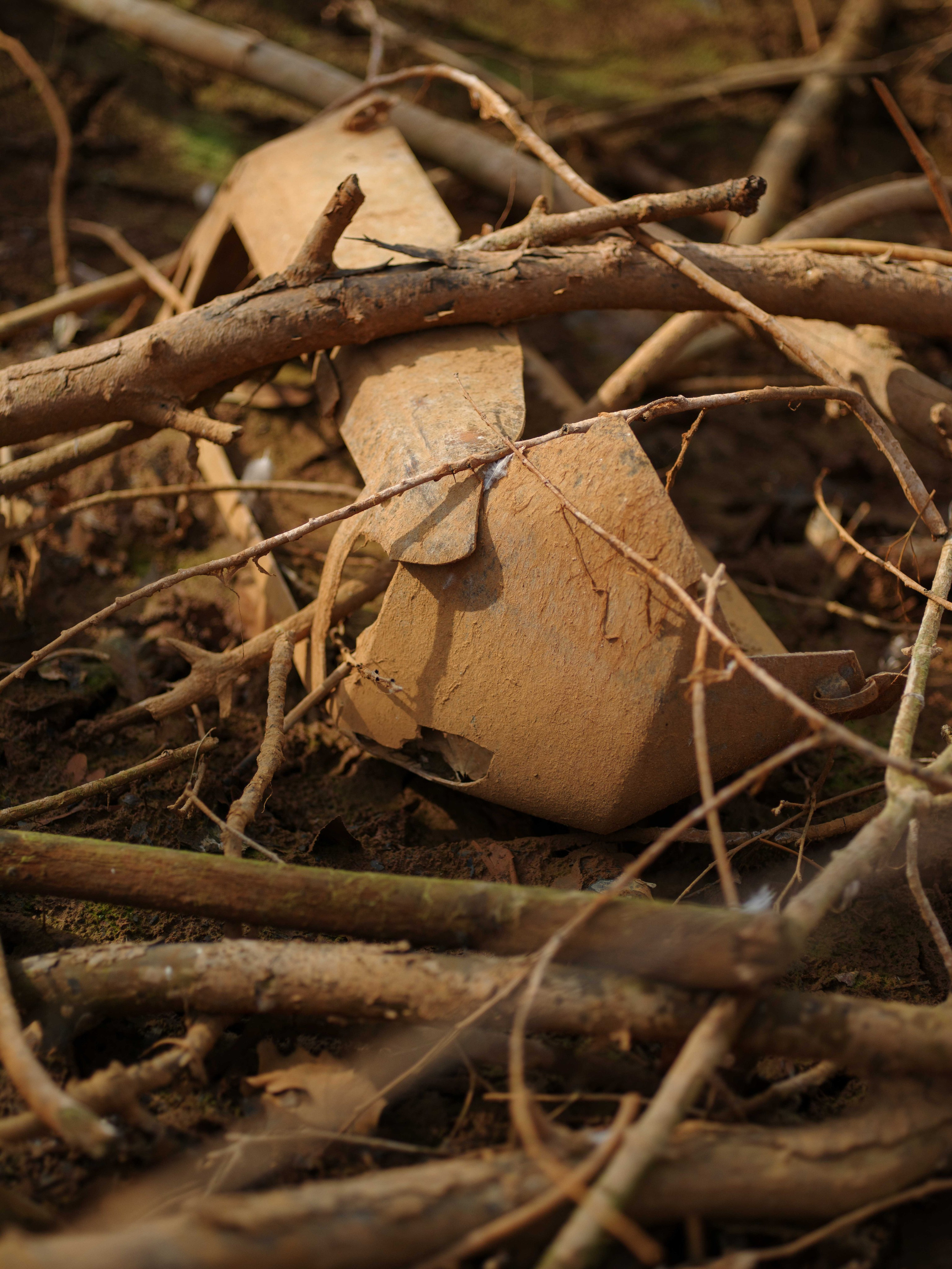 Antropocen (ongoing). Photographer, Documentary and Art