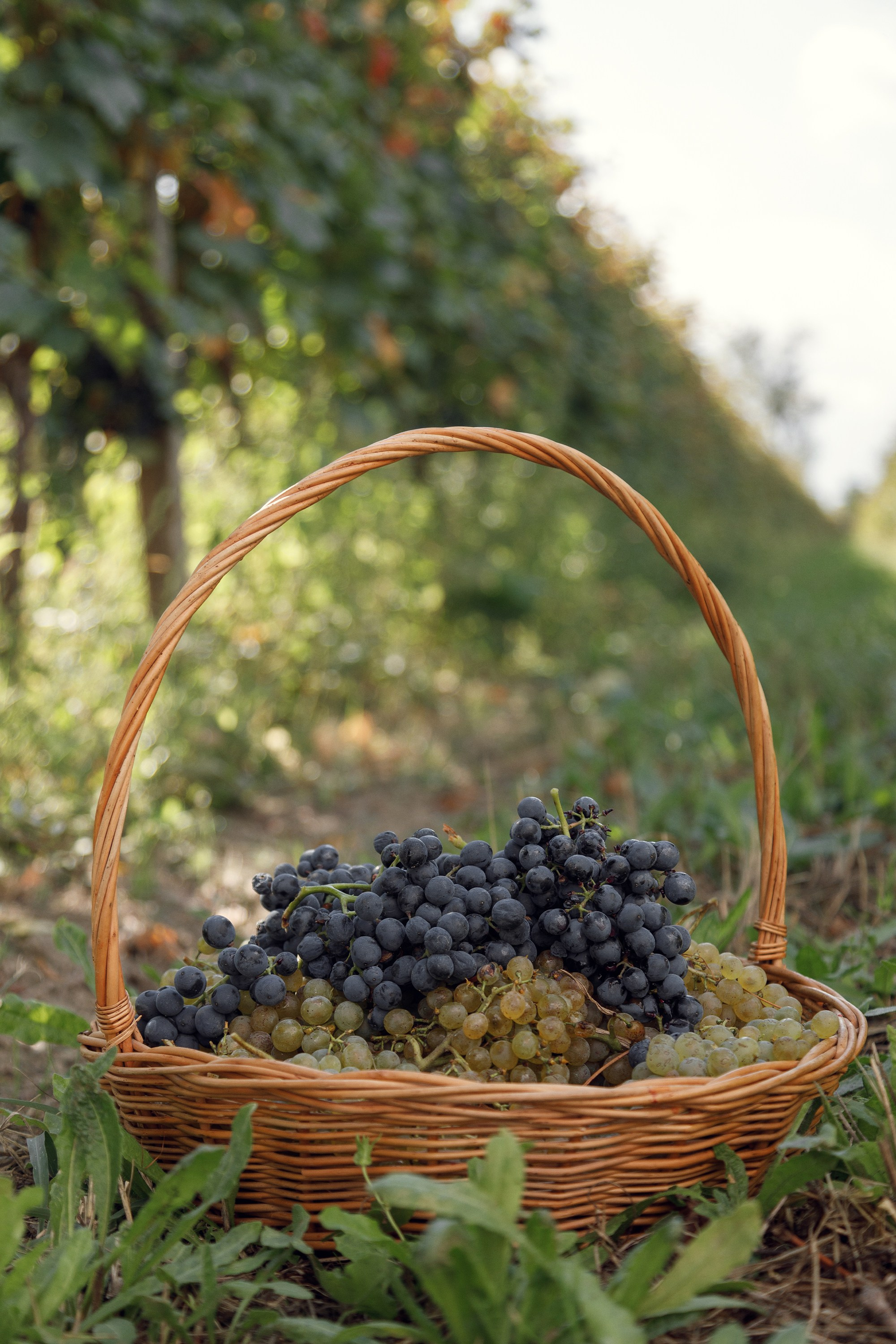 Интересные места Кахетии