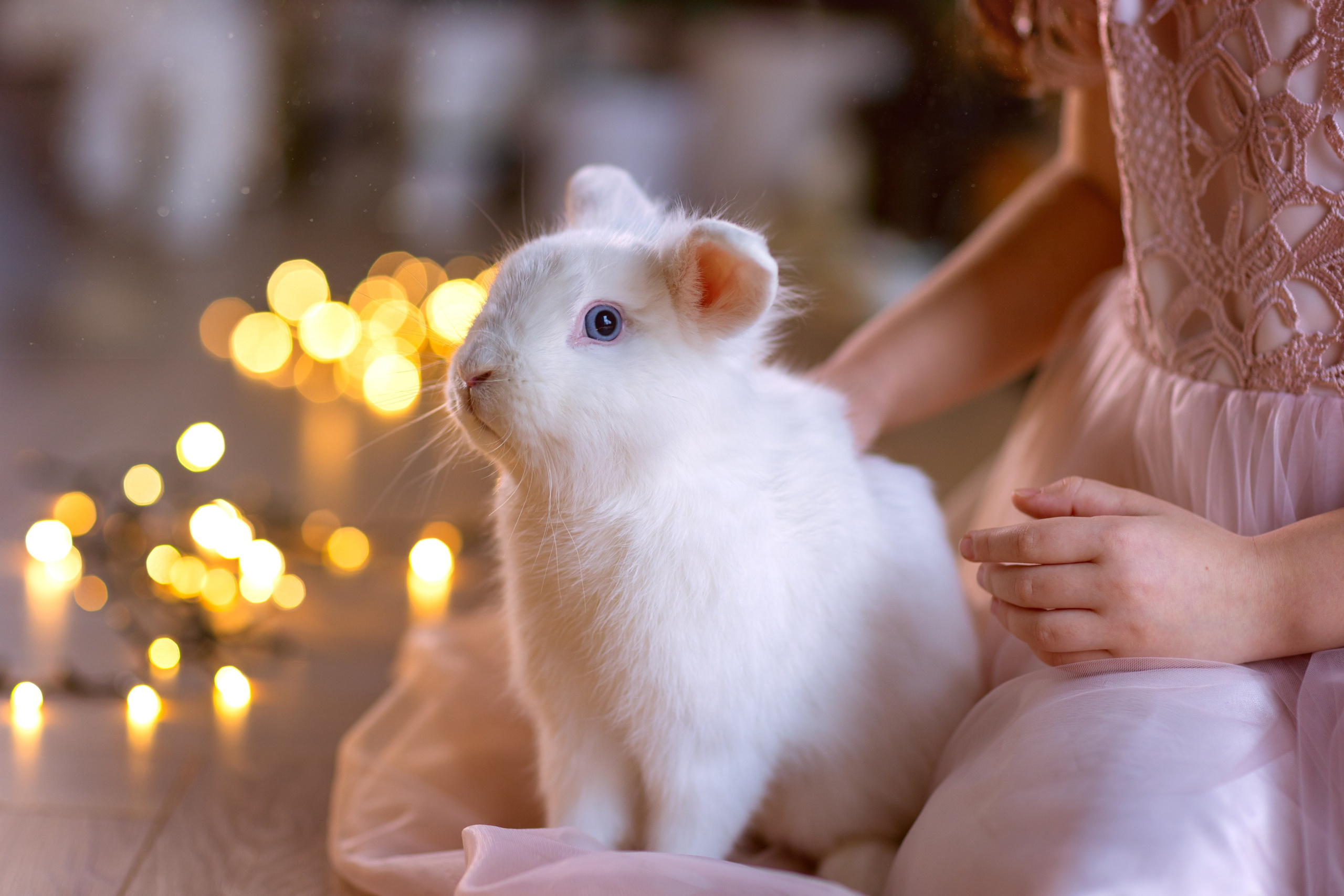 Фотограф Анна Латыпова г. Клин