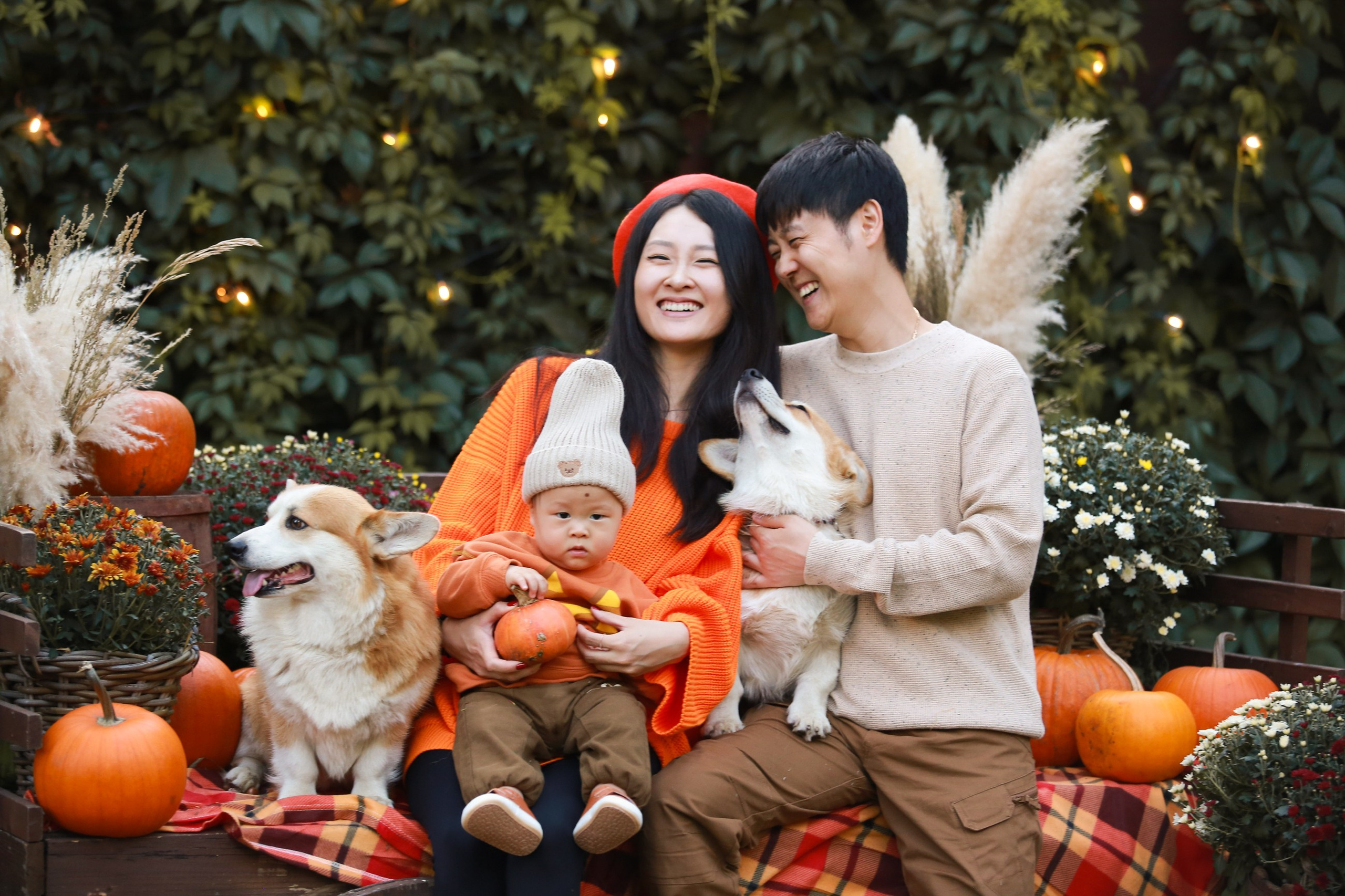 Фотосессия с корги, осенняя фотосессия с корги, аренда корги. Семейный и детский фотограф в Москве Мария Быкова