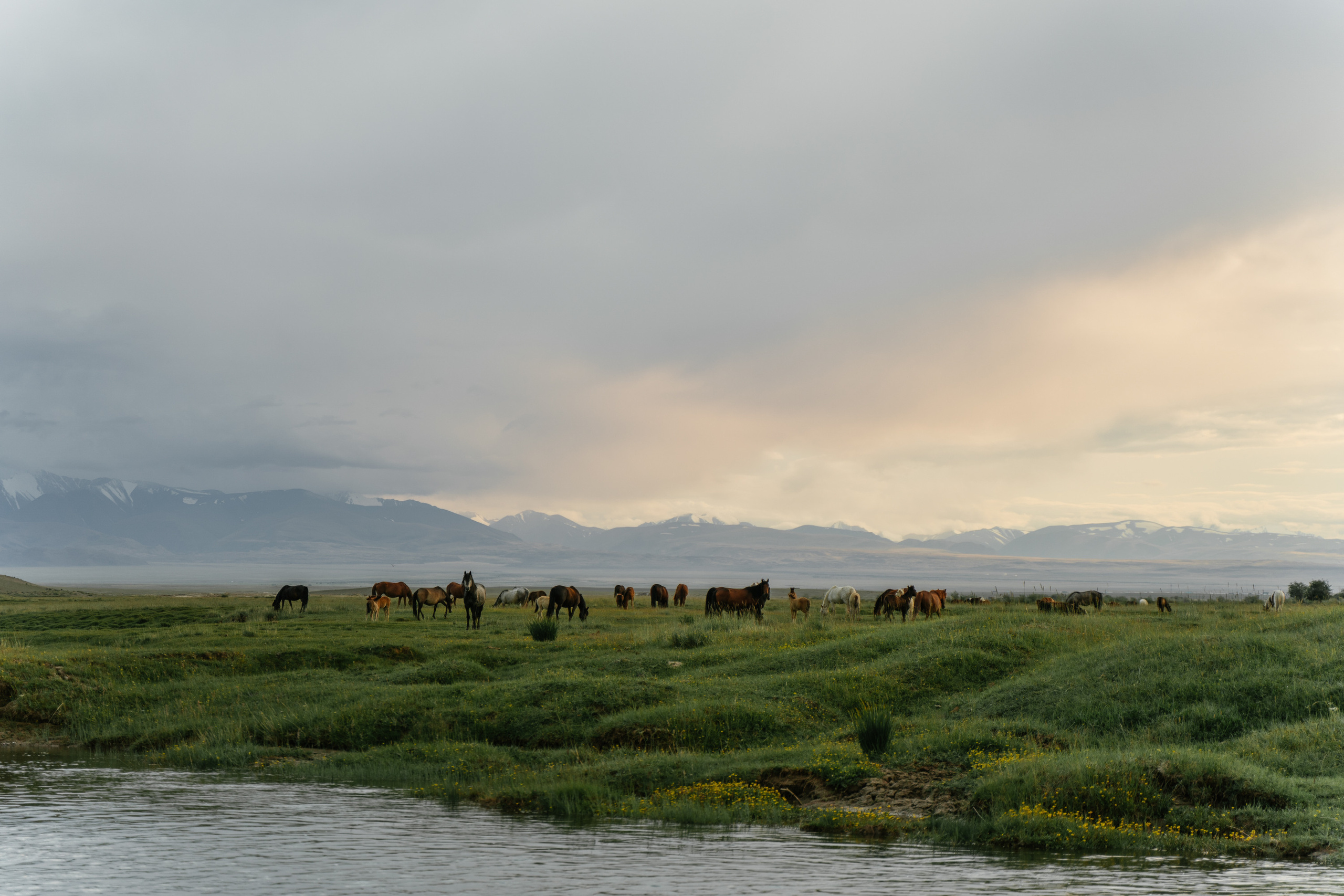 Зона покоя Укок. Фотограф в Санкт-Петербурге — Лучина Екатерина