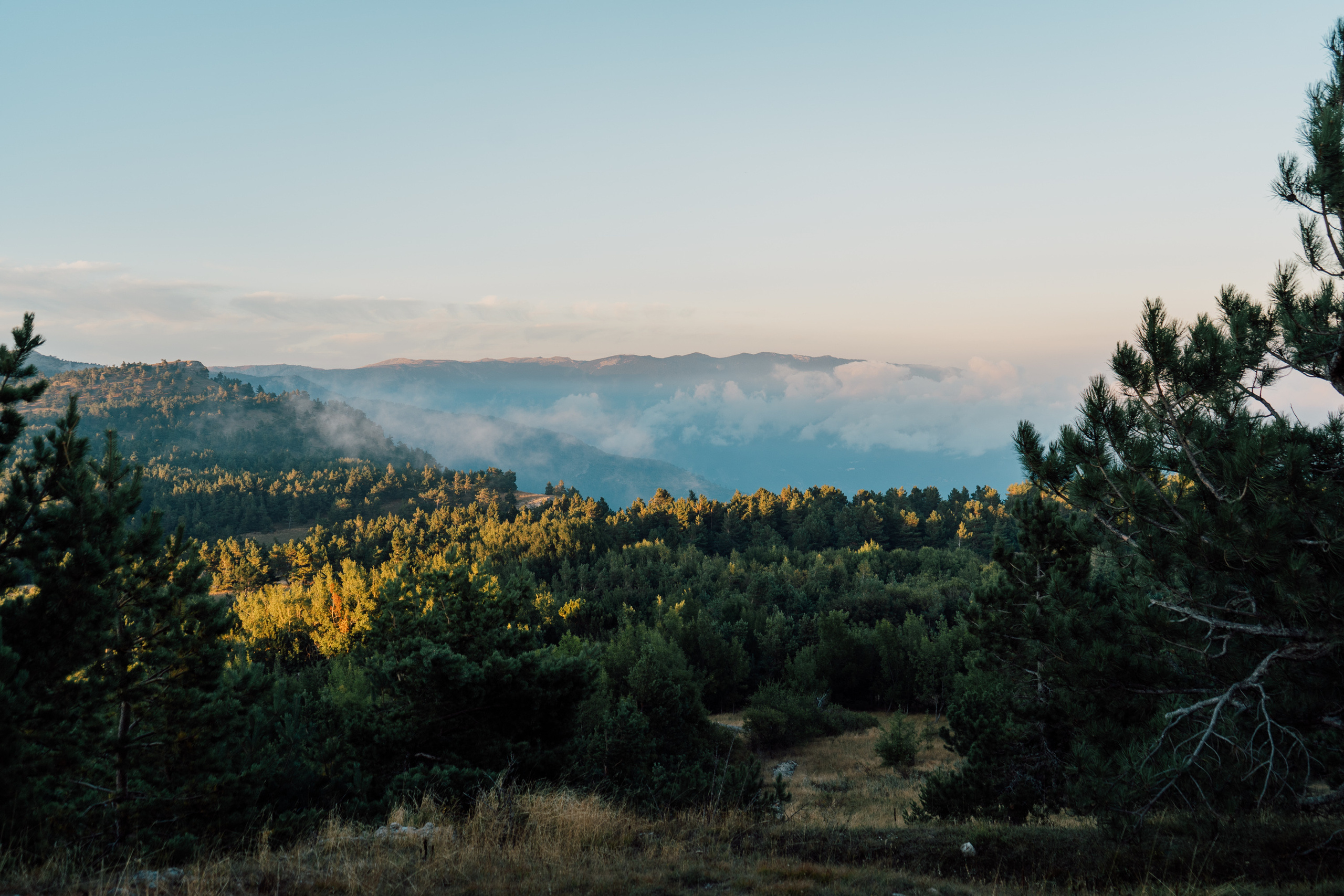 Заповедный Крым. Фотограф в Санкт-Петербурге — Лучина Екатерина