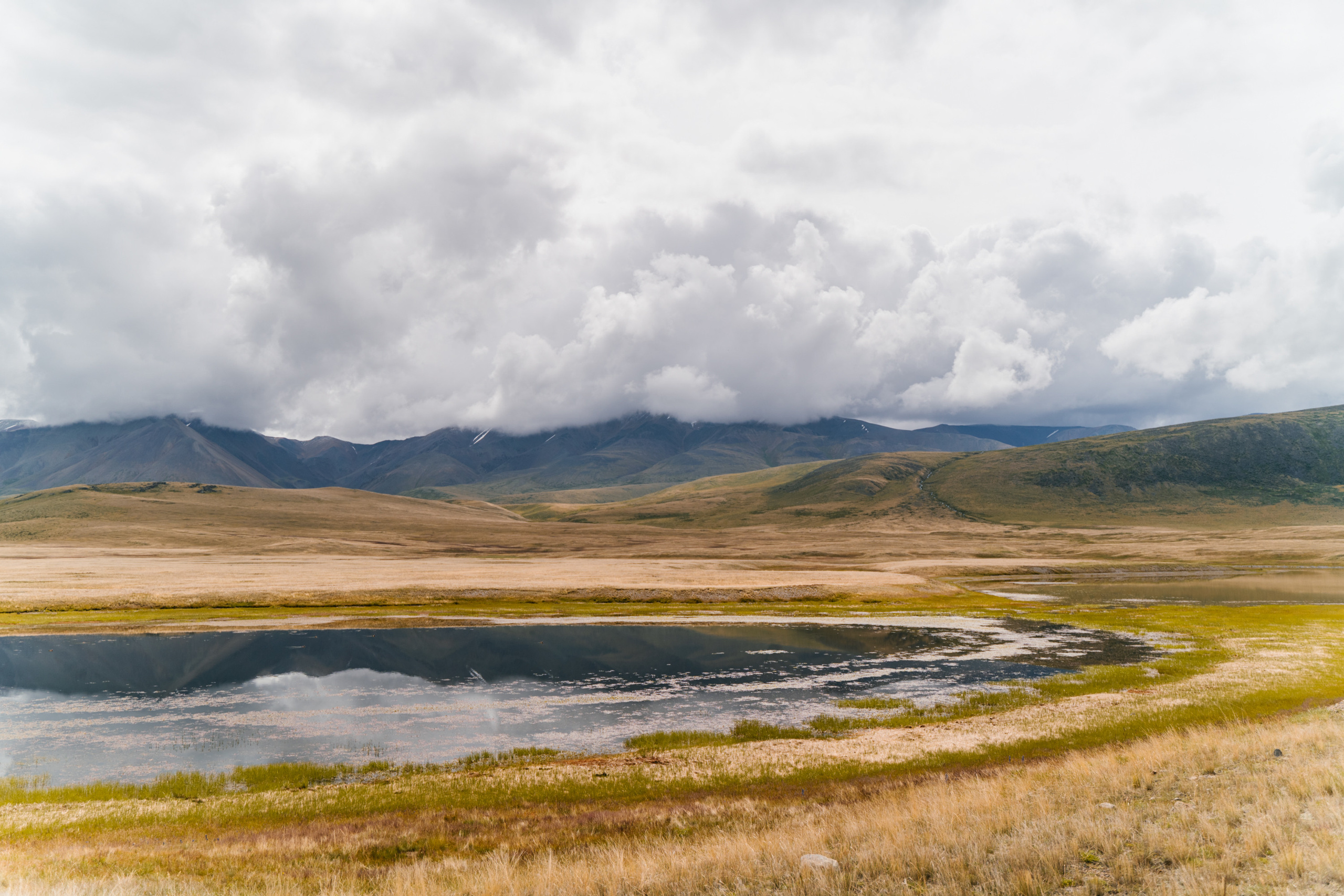 Зона покоя Укок. Фотограф в Санкт-Петербурге — Лучина Екатерина