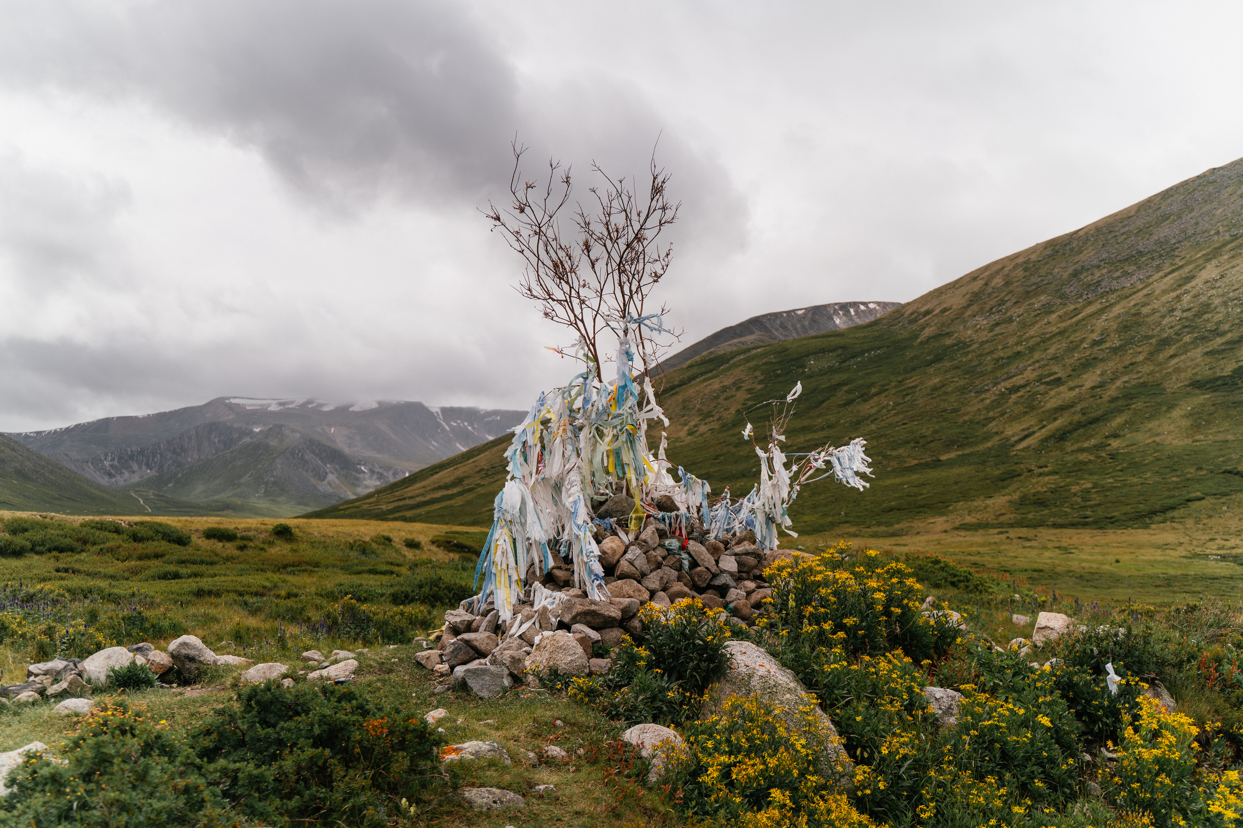 Зона покоя Укок. Фотограф в Санкт-Петербурге — Лучина Екатерина