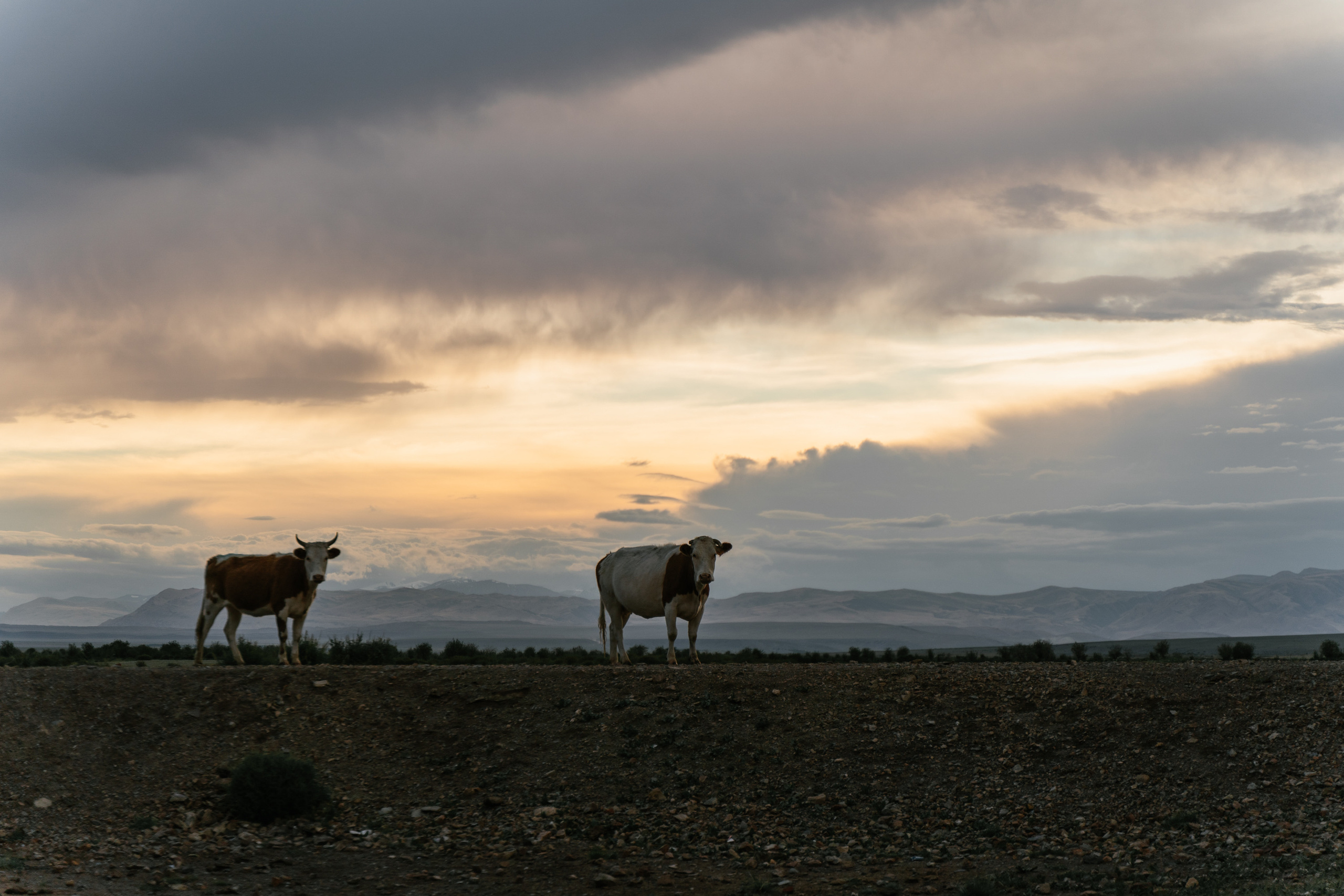 Зона покоя Укок. Фотограф в Санкт-Петербурге — Лучина Екатерина
