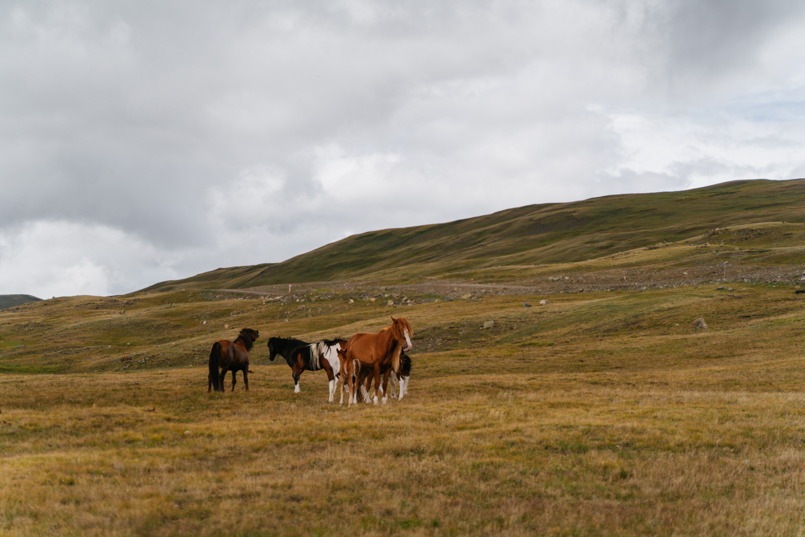 Зона покоя Укок. Фотограф в Санкт-Петербурге — Лучина Екатерина