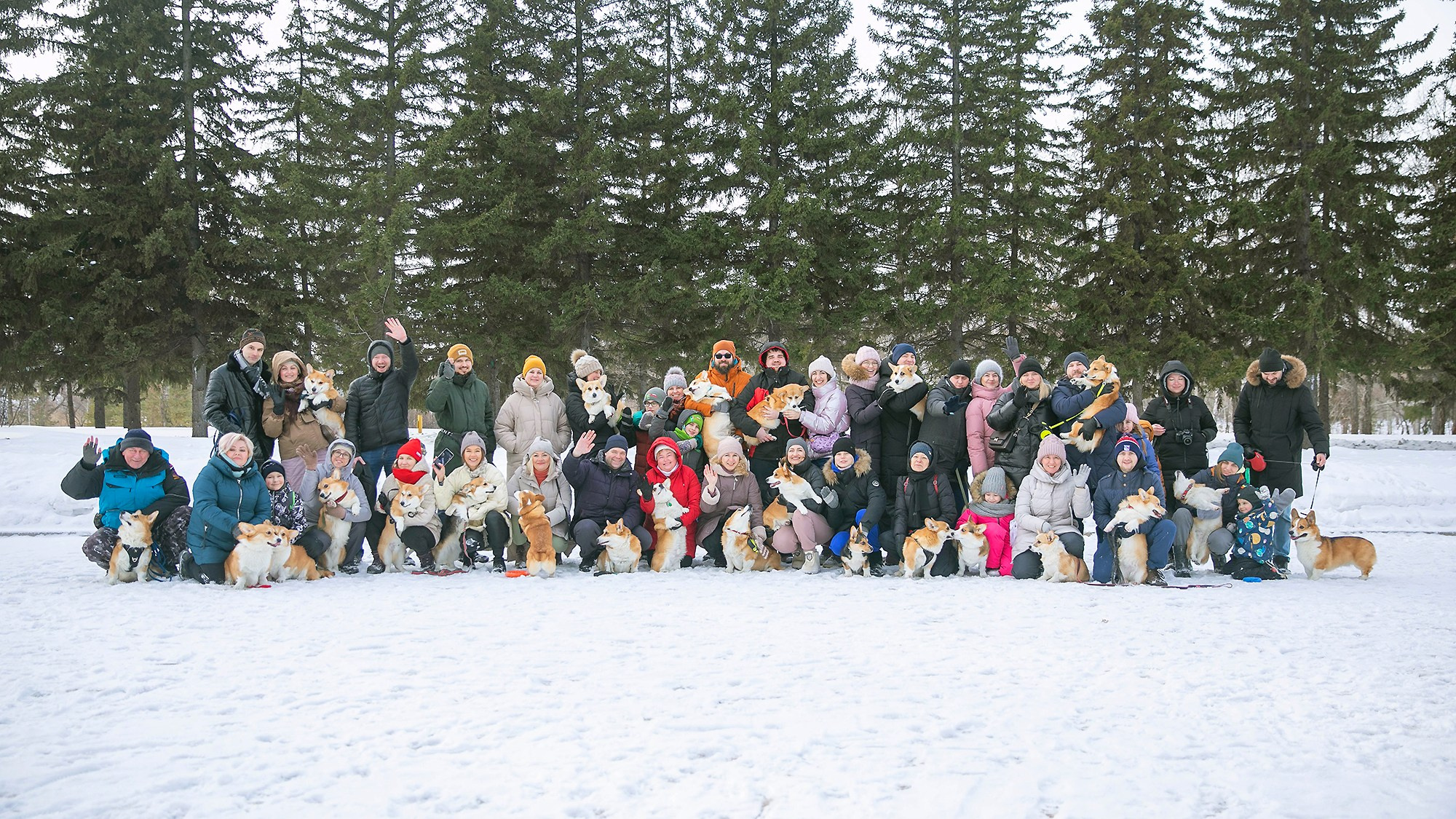 Корги-туса. Фотограф-анималист в Омске Екатерина Маричева