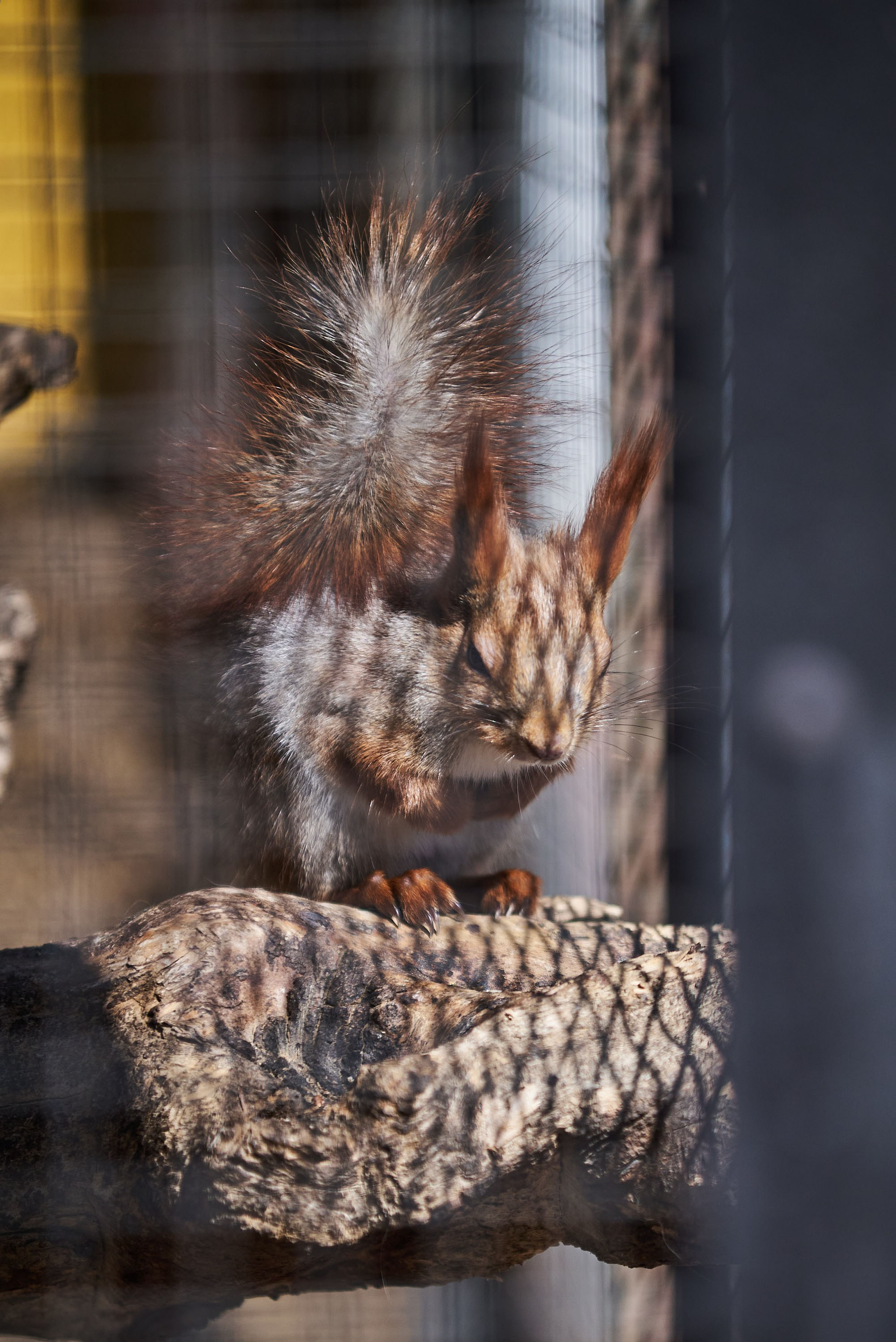 Зоопарк Иваново. Фотограф в Иваново: Каталожная съемка одежды и постельного белья, Wildberries