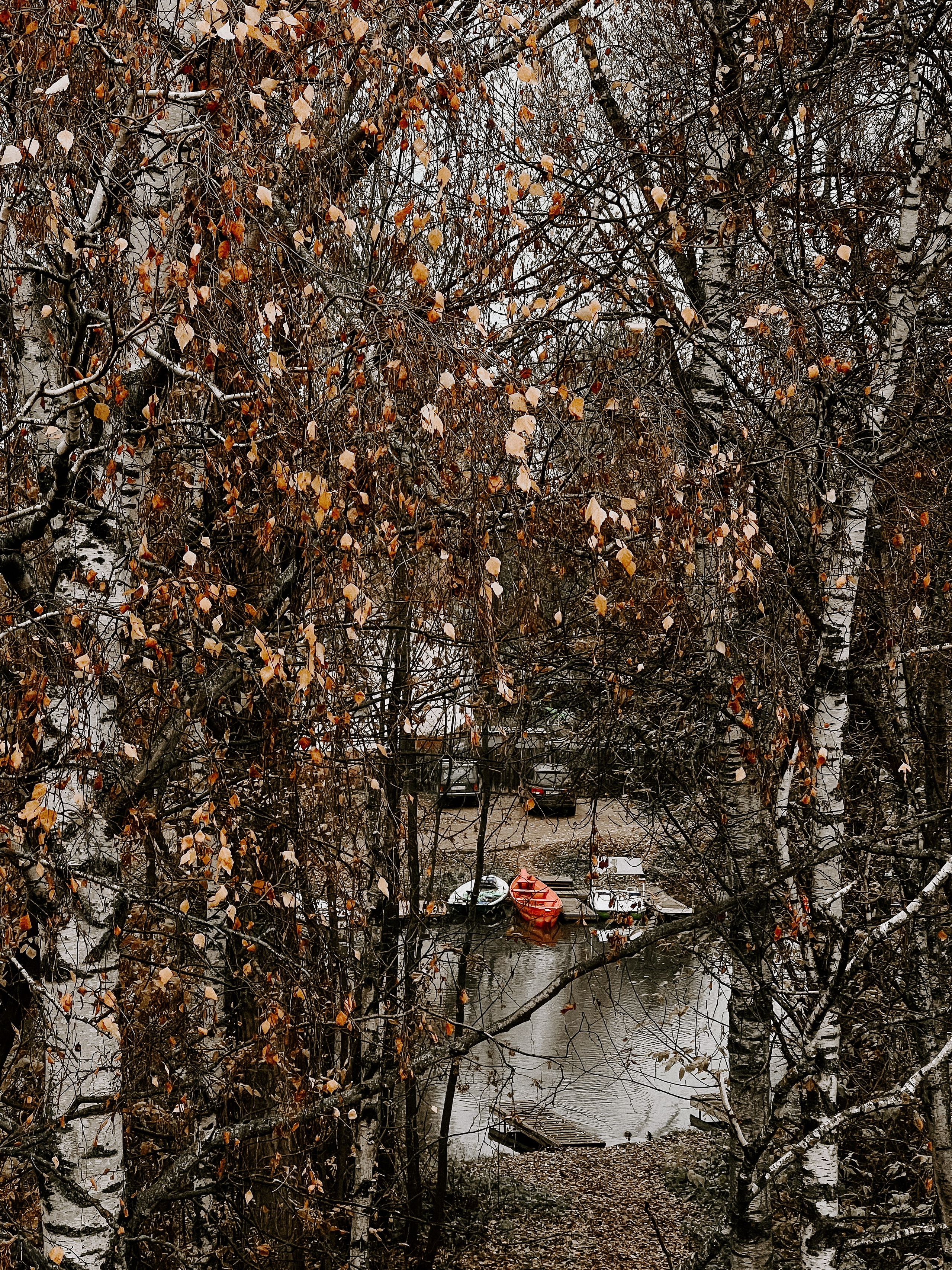 О том, как мы исследовали земли Залесские. Главная