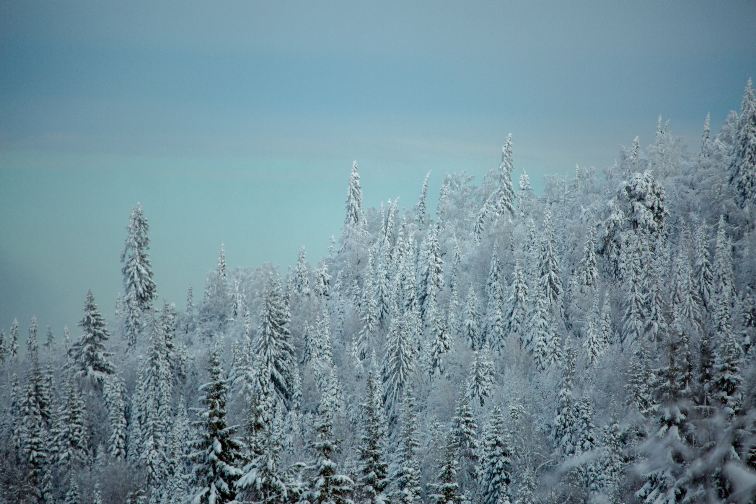 The most beautiful country. Photo competition of the RGO. Photographer Kirill Sergeev | Moscow